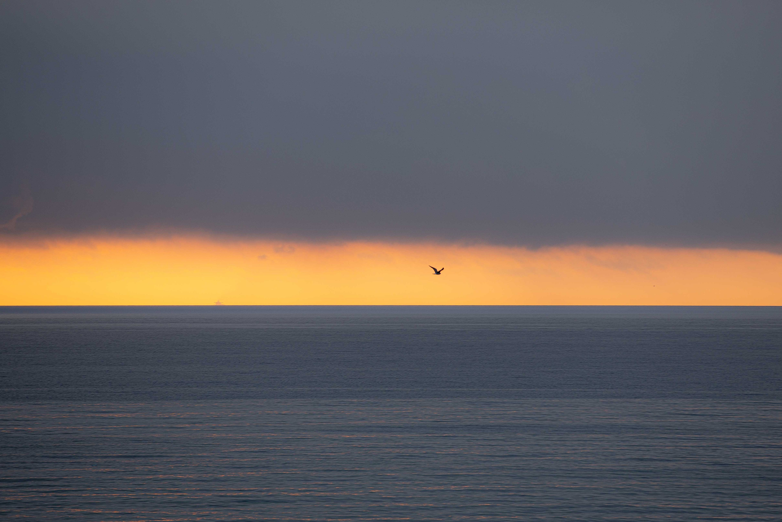 Anastasia Shapoval violoniste et photographe. Annecy — Geneve