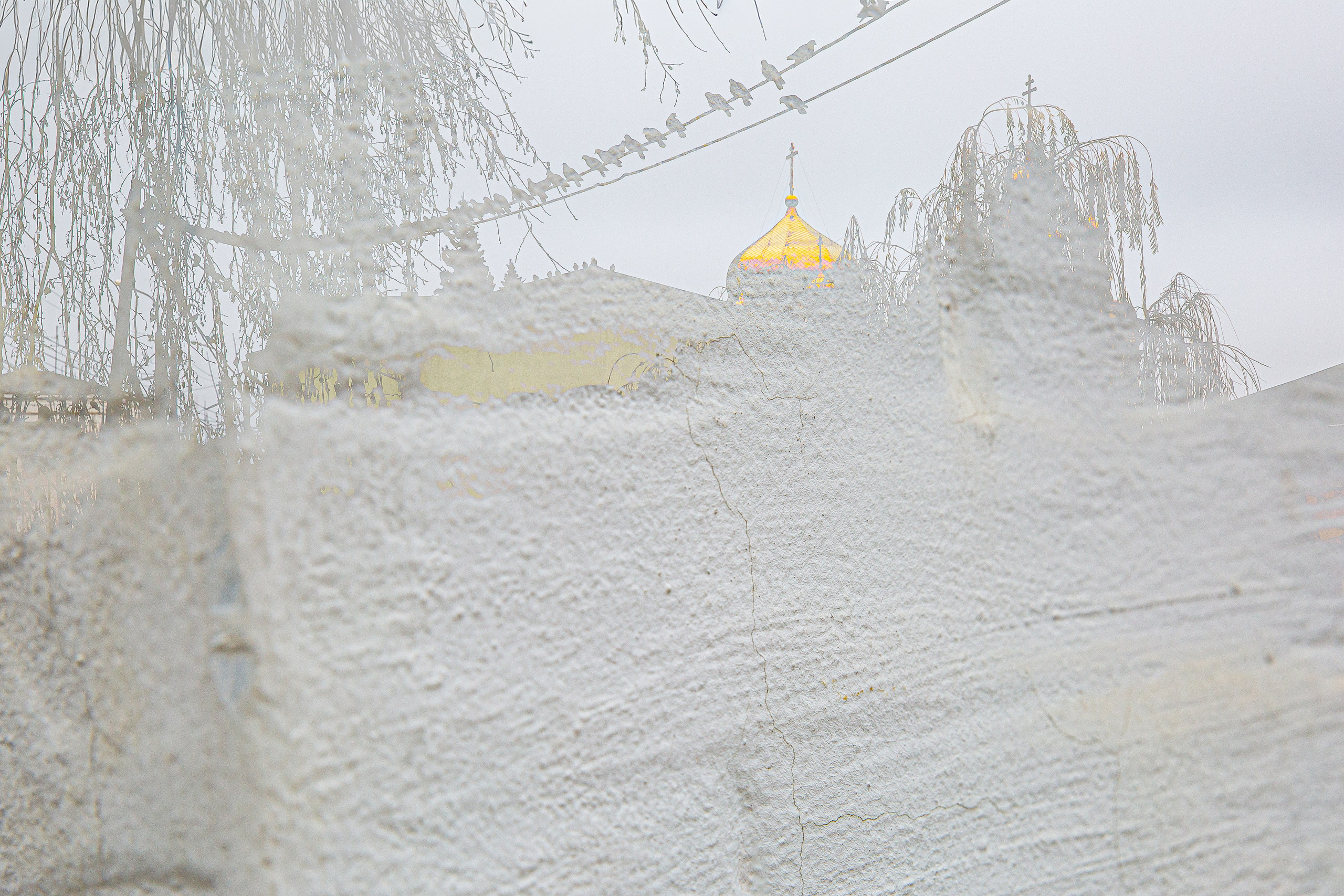 СТРОФА 2 — ЦВЕТОВЕДЕНИЕ. Photographer Anna Arzamastseva