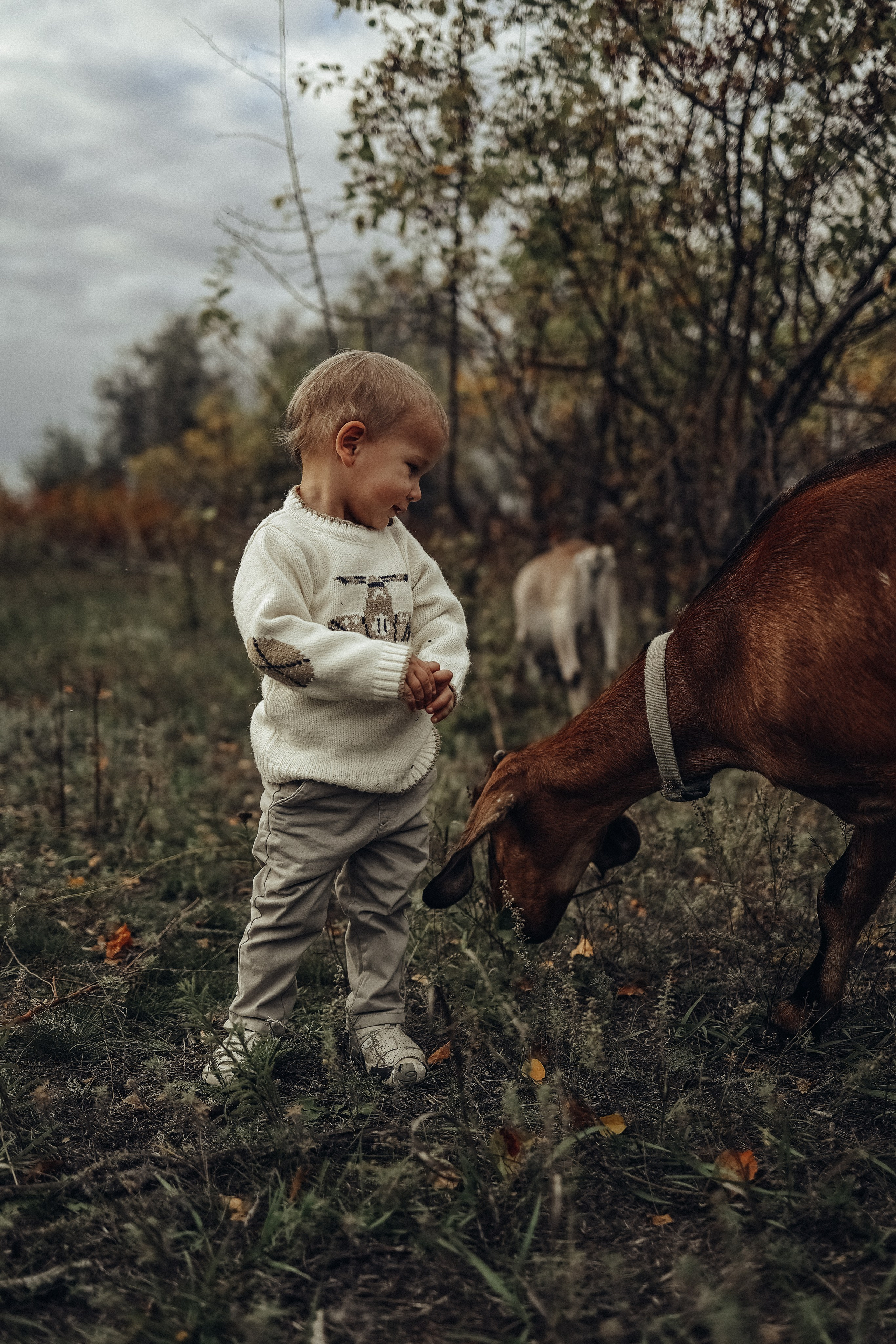 Семейная прогулочная съёмка. Фотограф в Астане Элина Багинская
