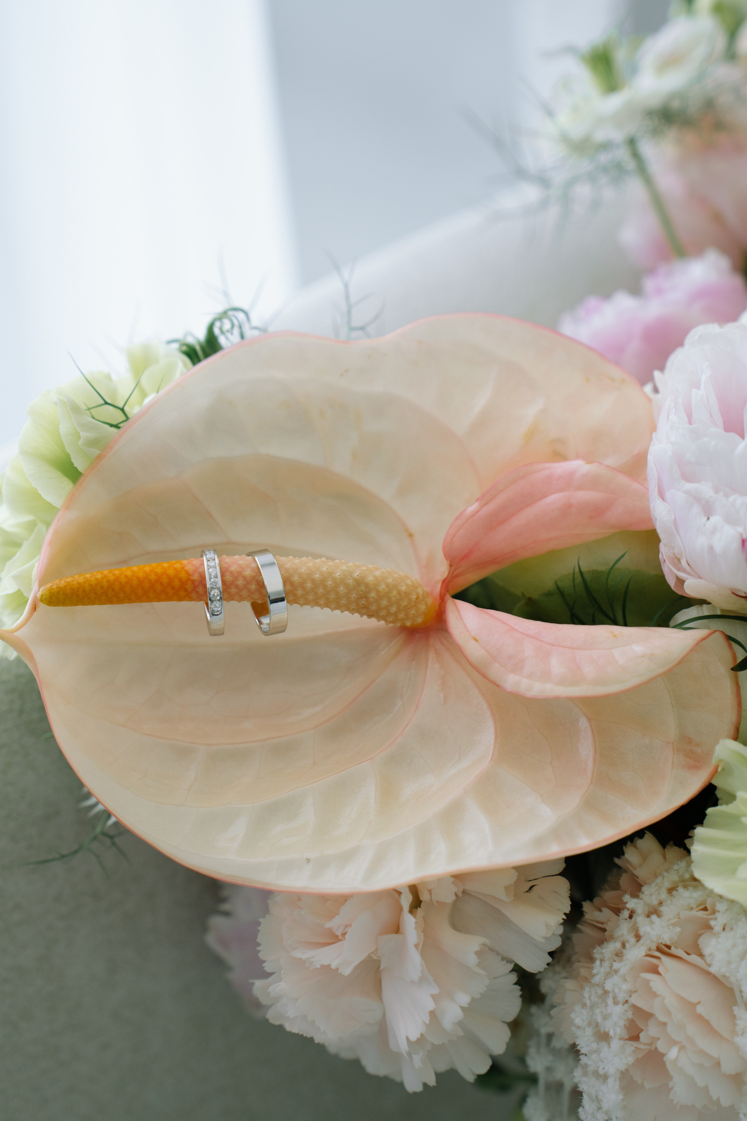 Крылья Абрау