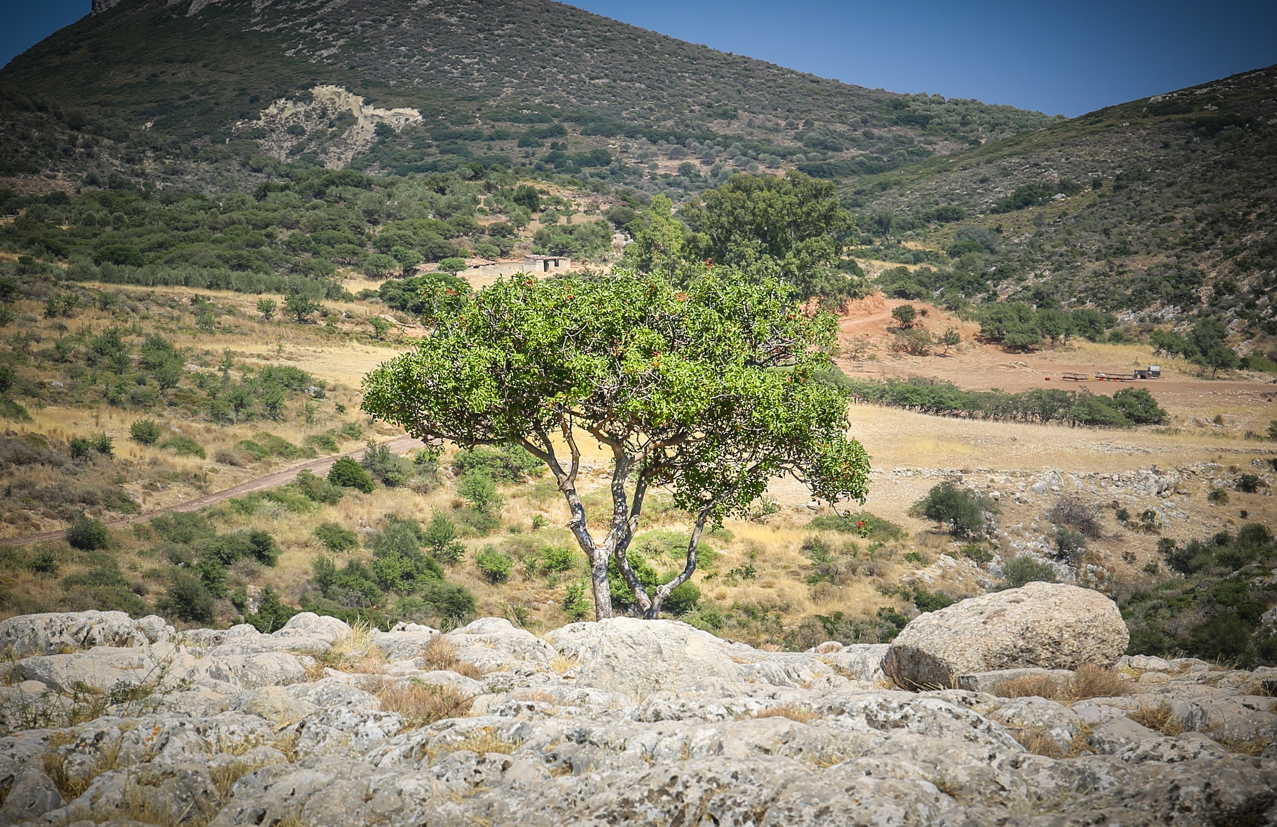 Греция: Коринф, Эпидавр, Олимпия, Микены. Дарья Письменюк / Darya Leitstern — фотограф, музыкант, журналист, путешественник