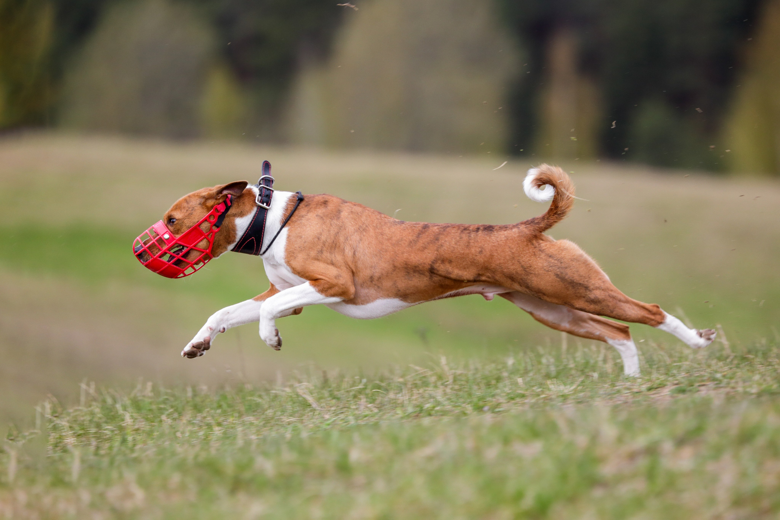 Lure Club май 2024. Irenephoto.ru