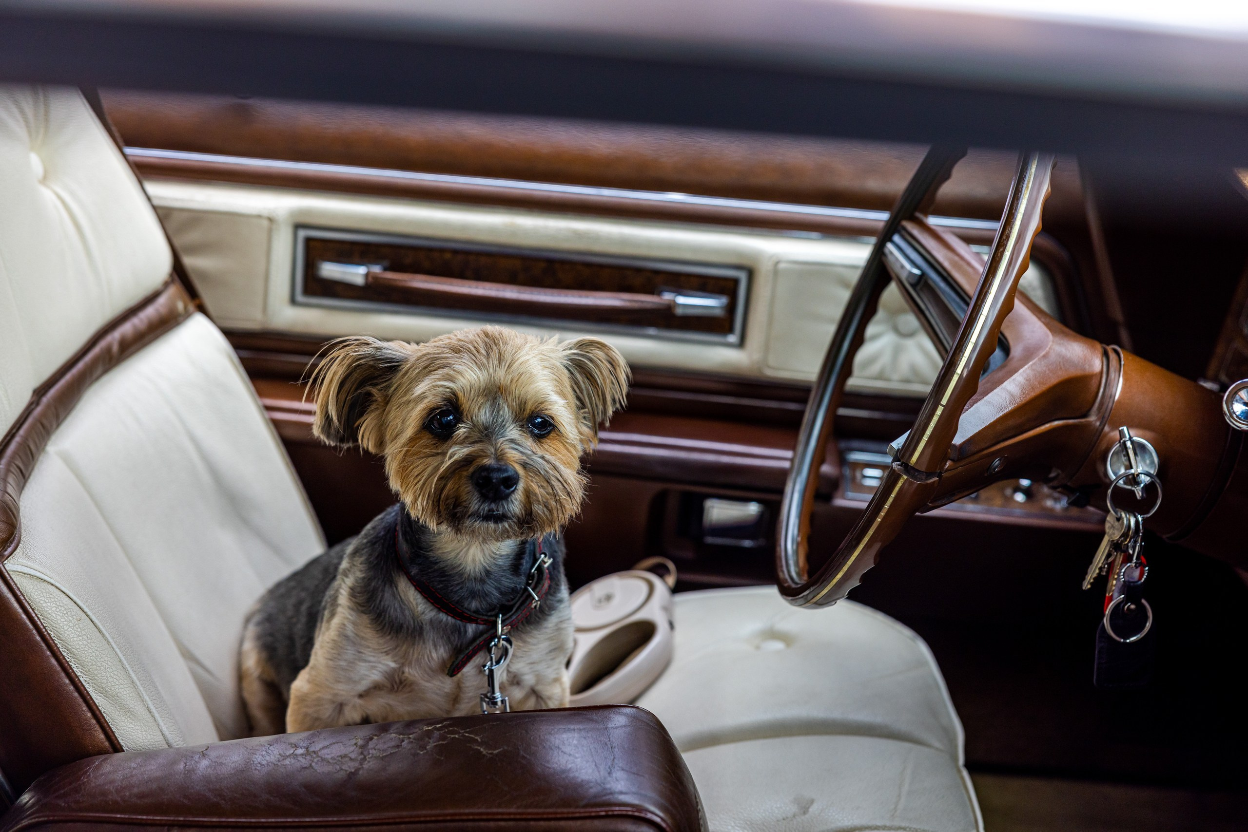 Автострада 20 лет. Фотограф в Туле Крупский АнДРей. Фотостудия «КАДР71» в Туле