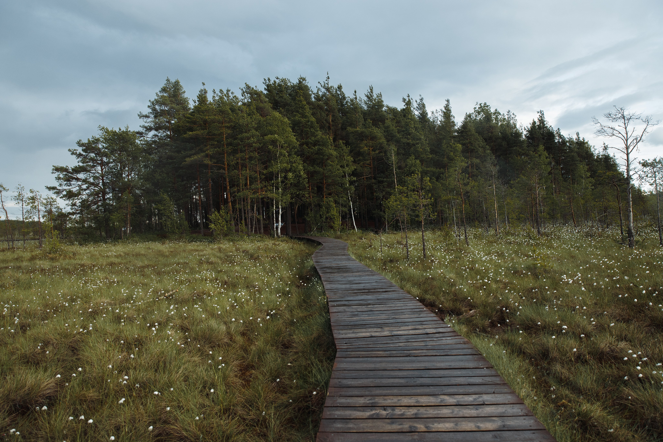 Nature. Артем Корнев Фотограф