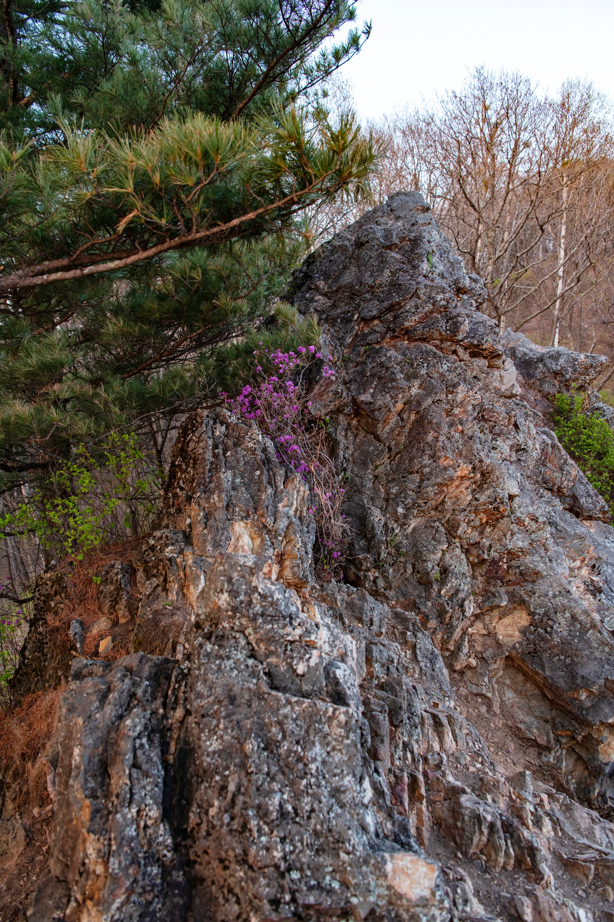 Природа Хабаровского края. Команда фотографов Кристины Ивановой