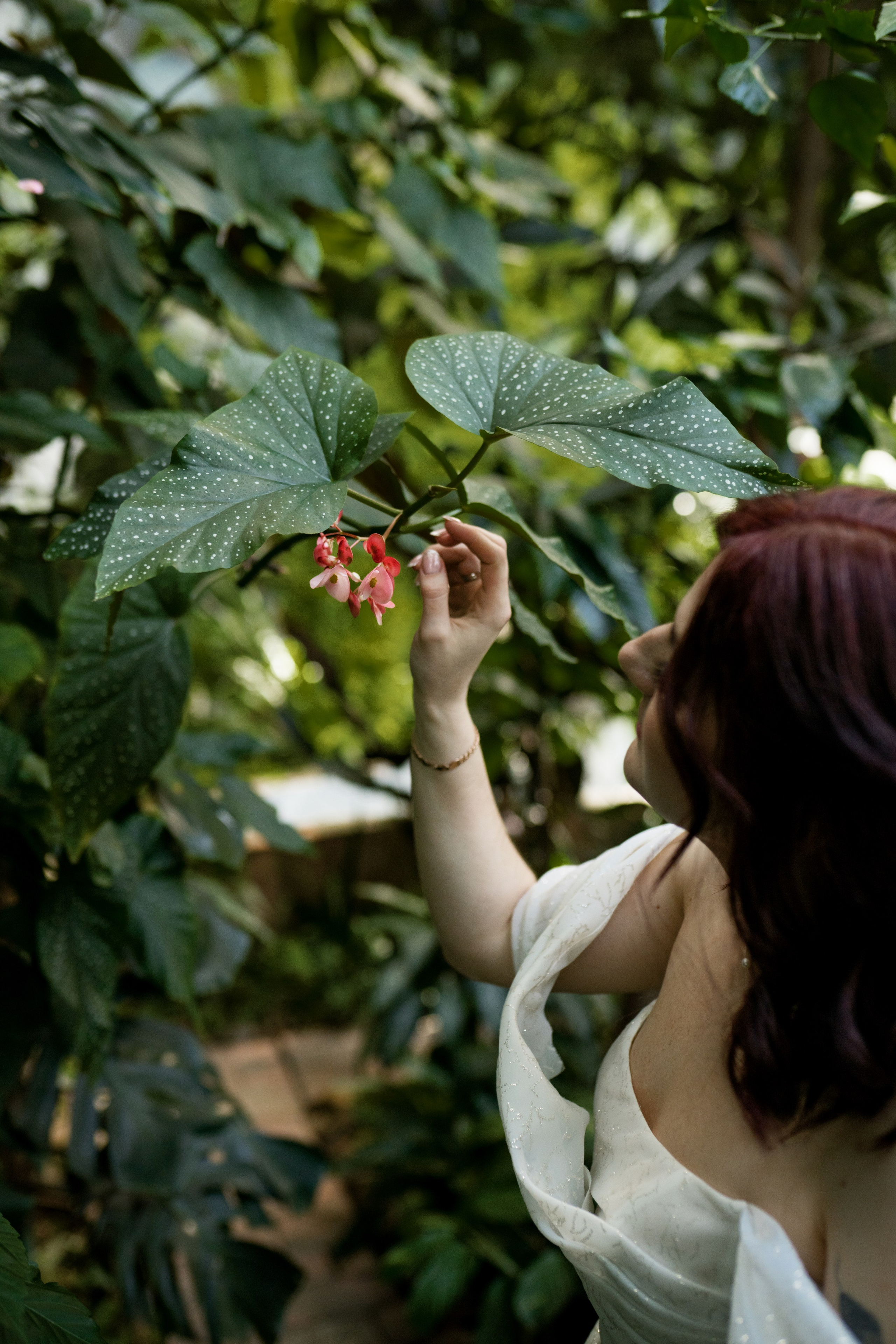 Свадьба | Илья Ксения — 2025