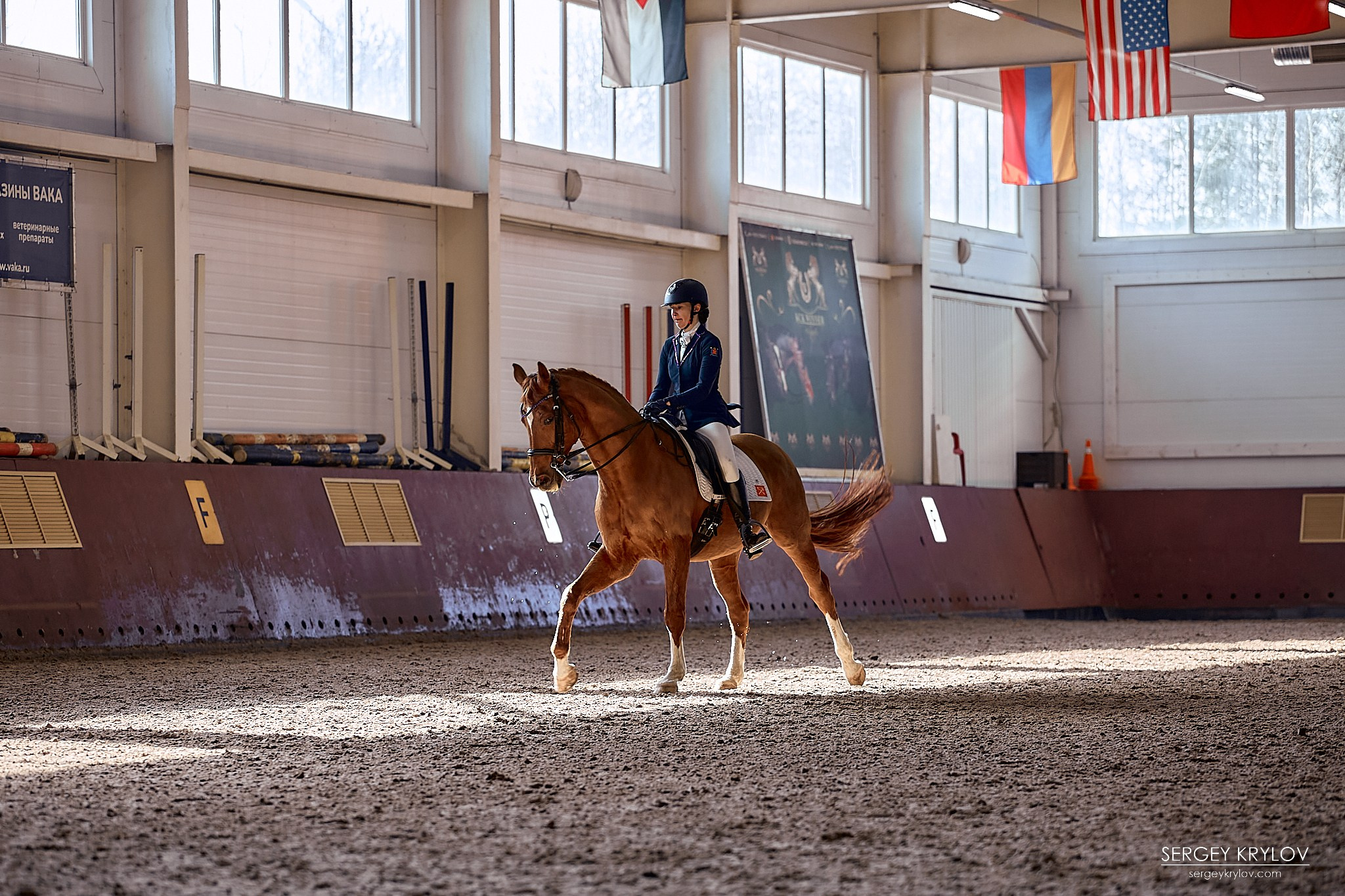 Конный фотограф. Съемка соревнований по конной выездке