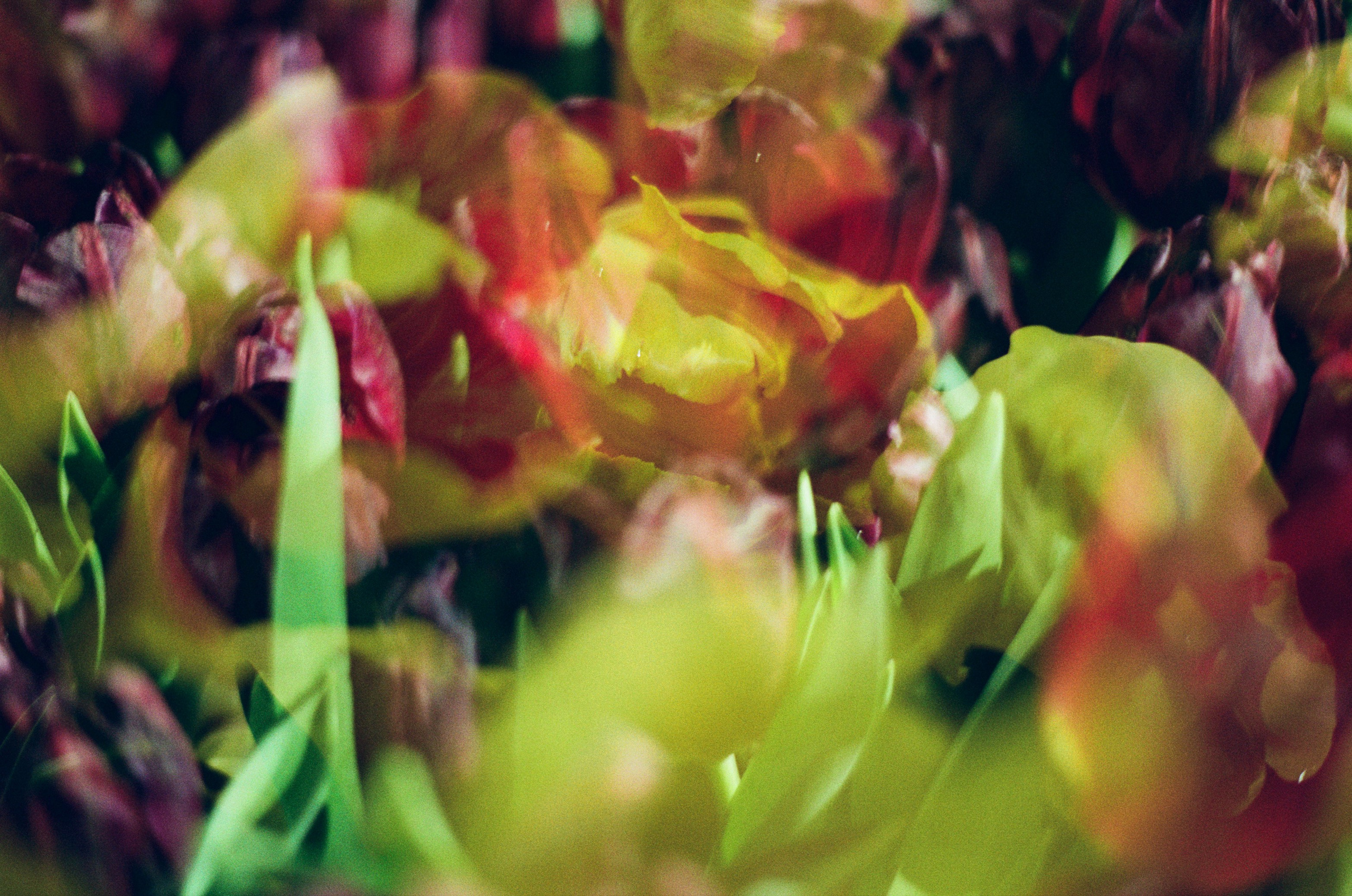 If i get high IV. EVER EXPOSED