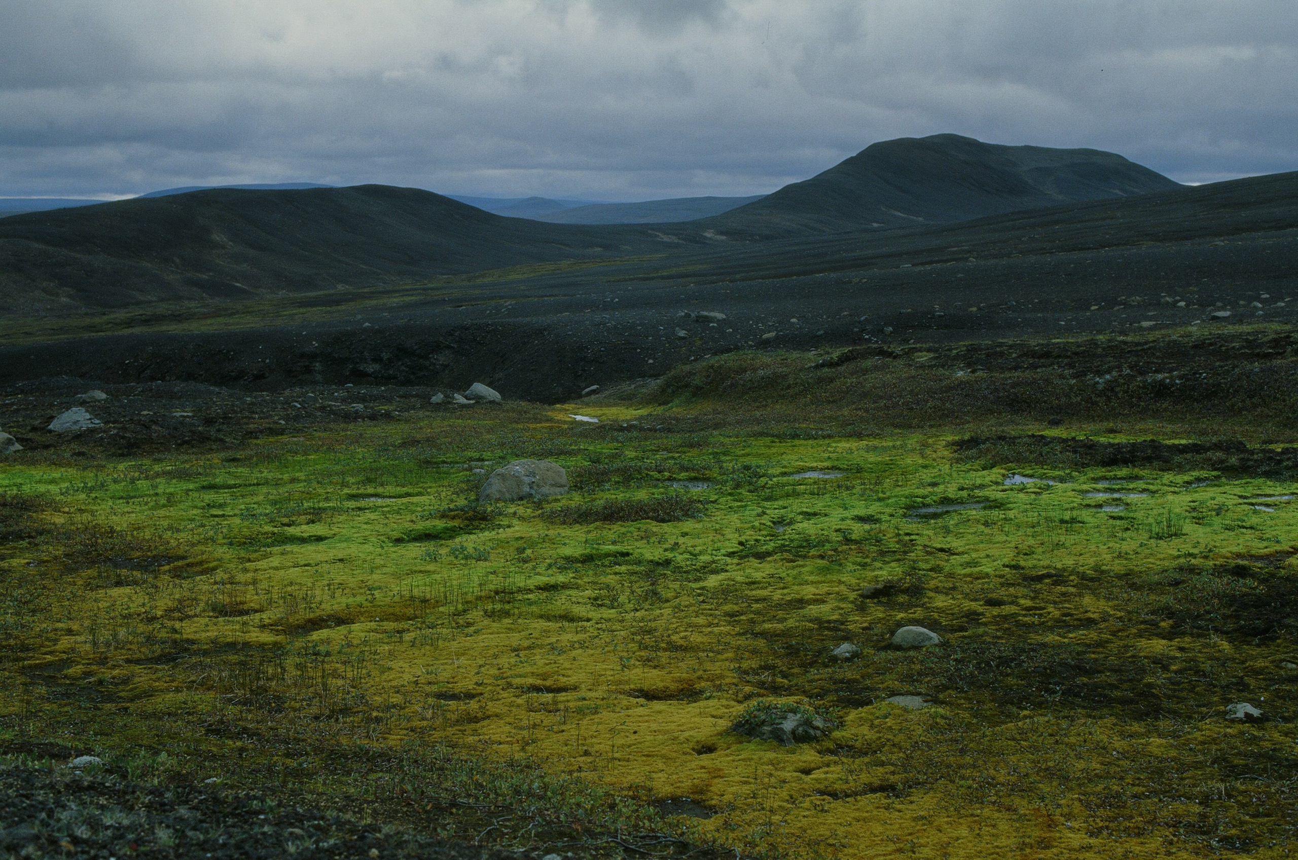 Bloodline // iceland, f907. EVER EXPOSED