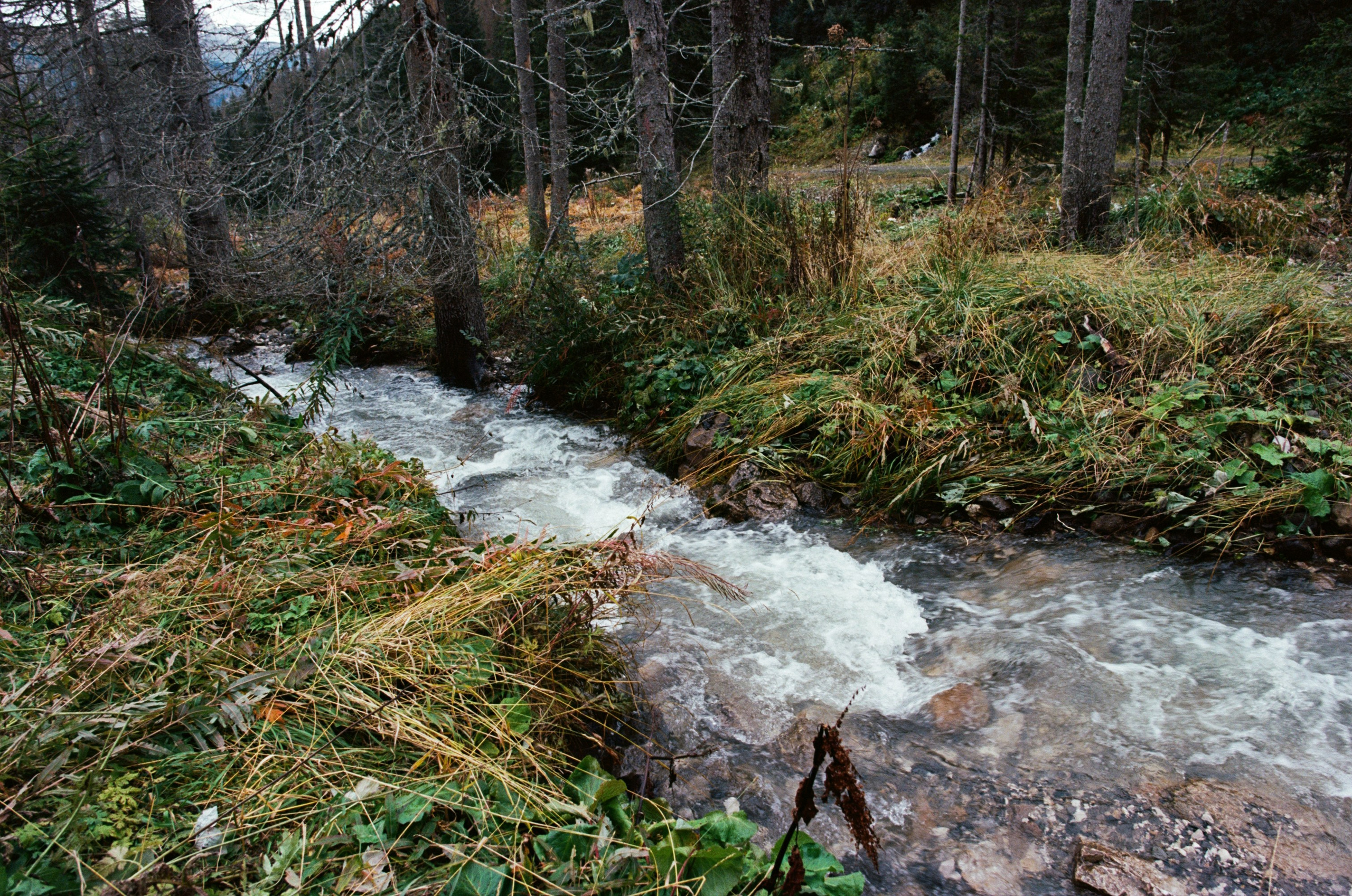 Are you coming // italy, dolomites II. EVER EXPOSED