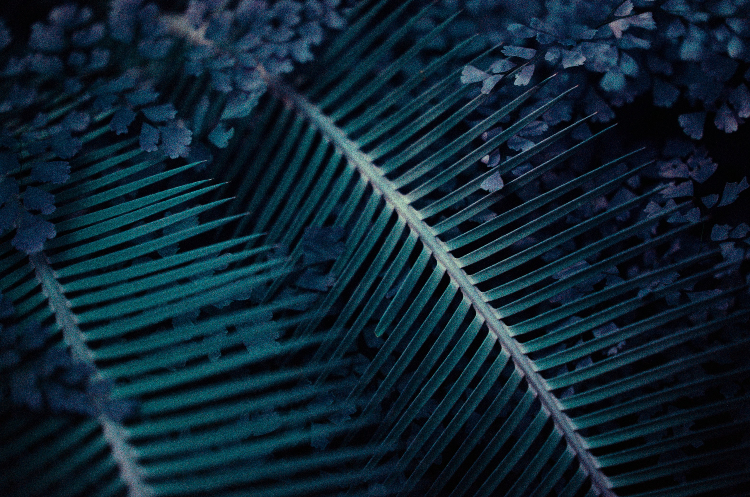 Everything i could never say to you. EVER EXPOSED