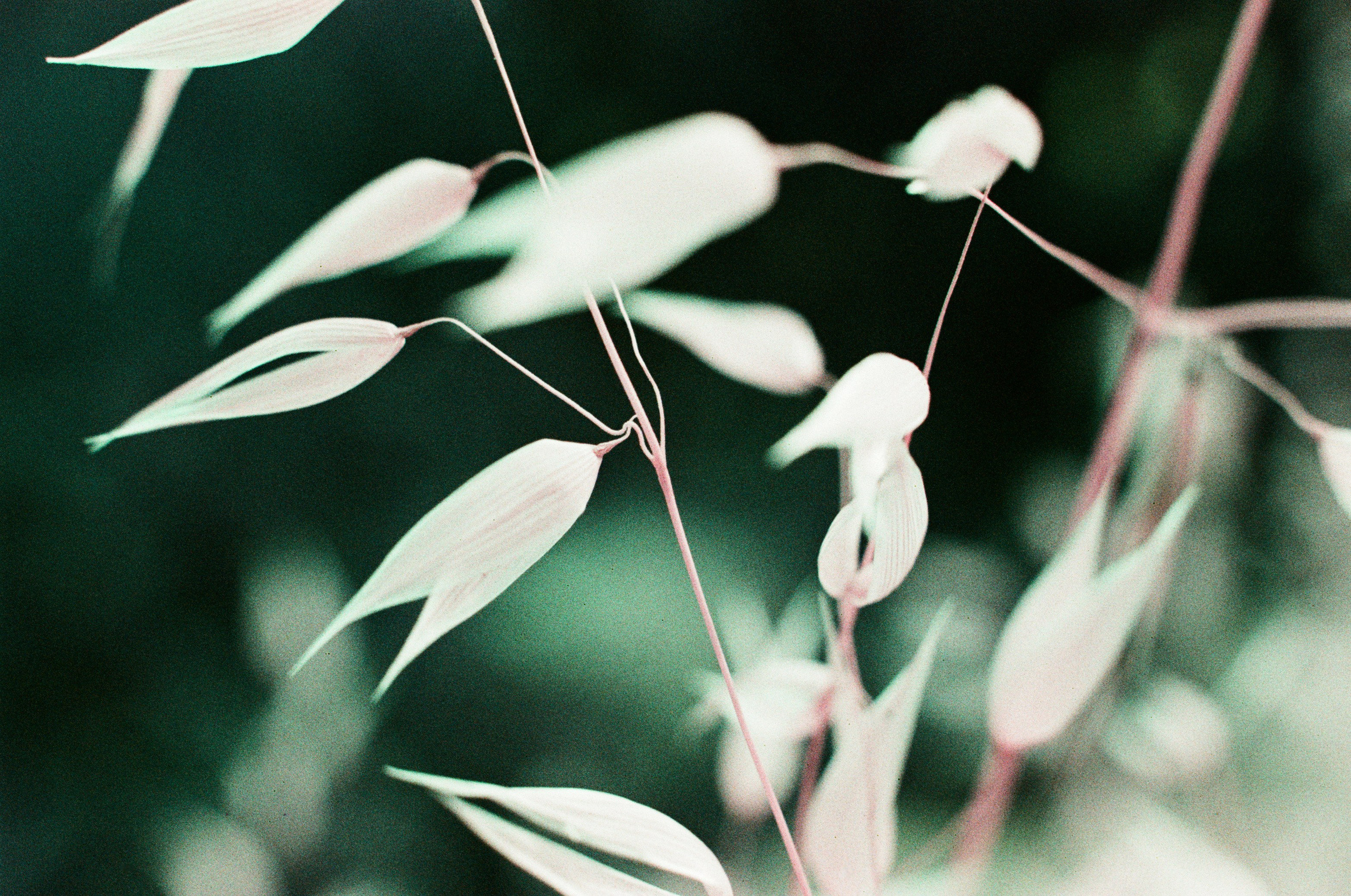 Point of no reply // ukraine, crimea VIII. EVER EXPOSED