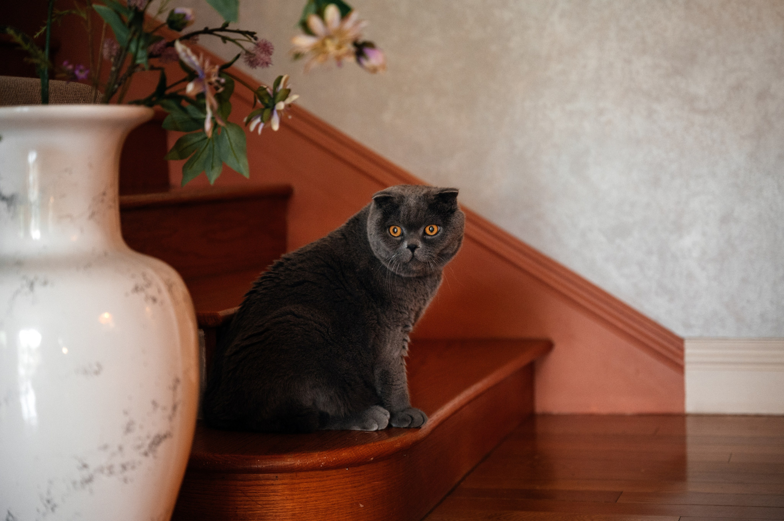 Ася & Эд. Свадебный фотограф в Москве Александр Белозерцев