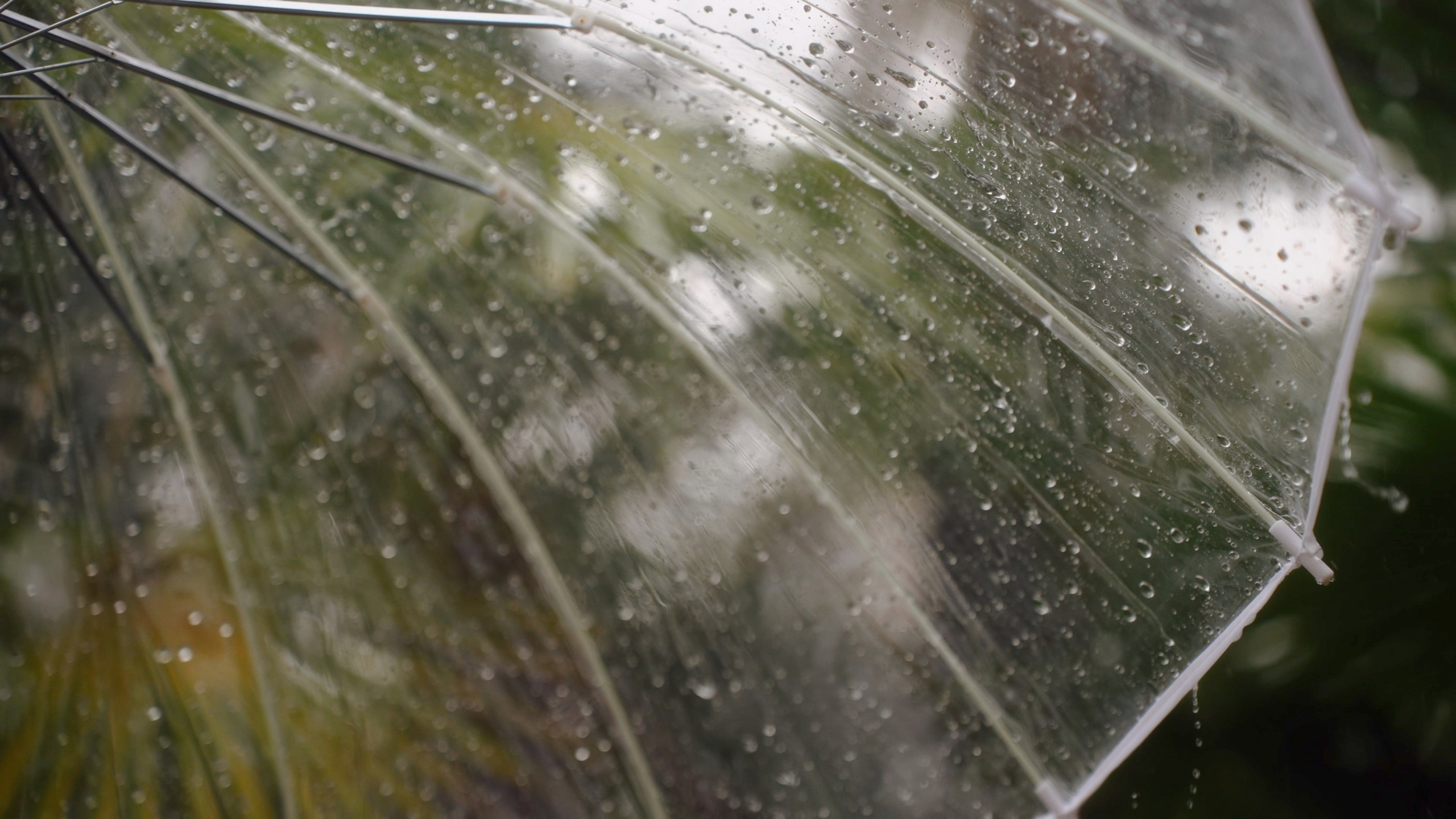 Ульяна и Олег. Агата Акварель видеограф Сочи Краснодар