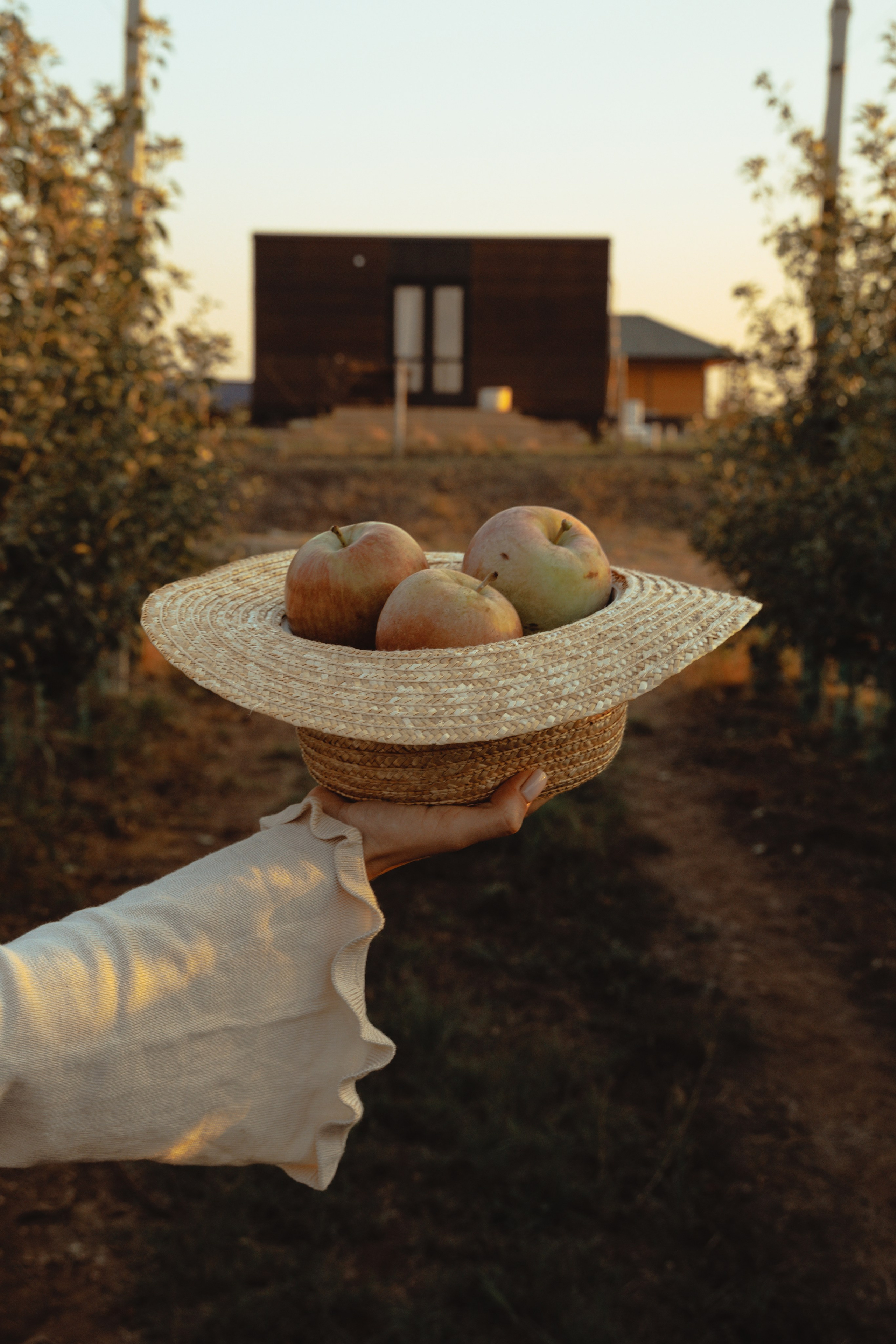 Domik в саду. Артем Корнев Фотограф