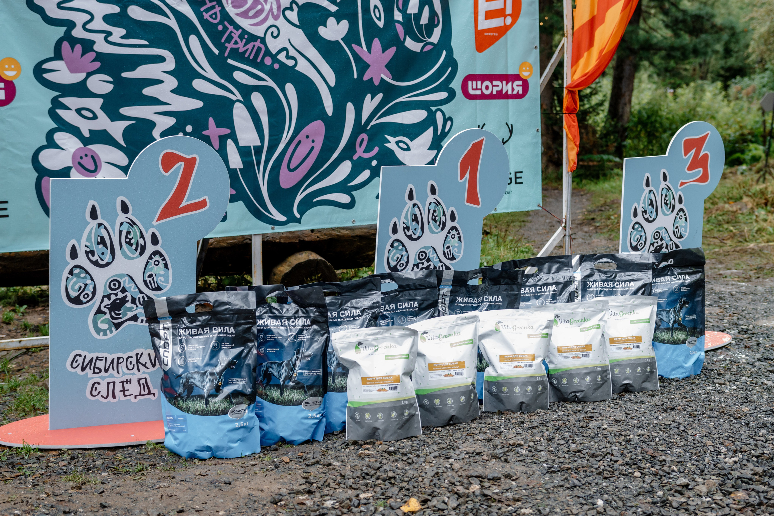 Дог-треккинг