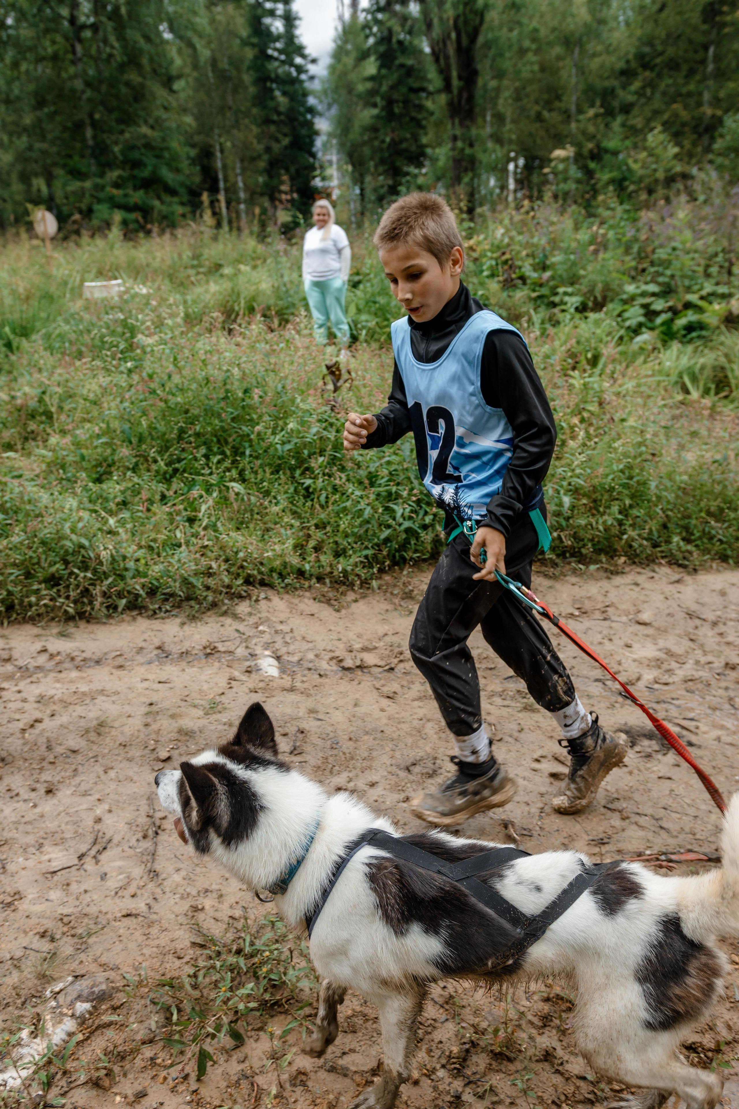 Дог-треккинг