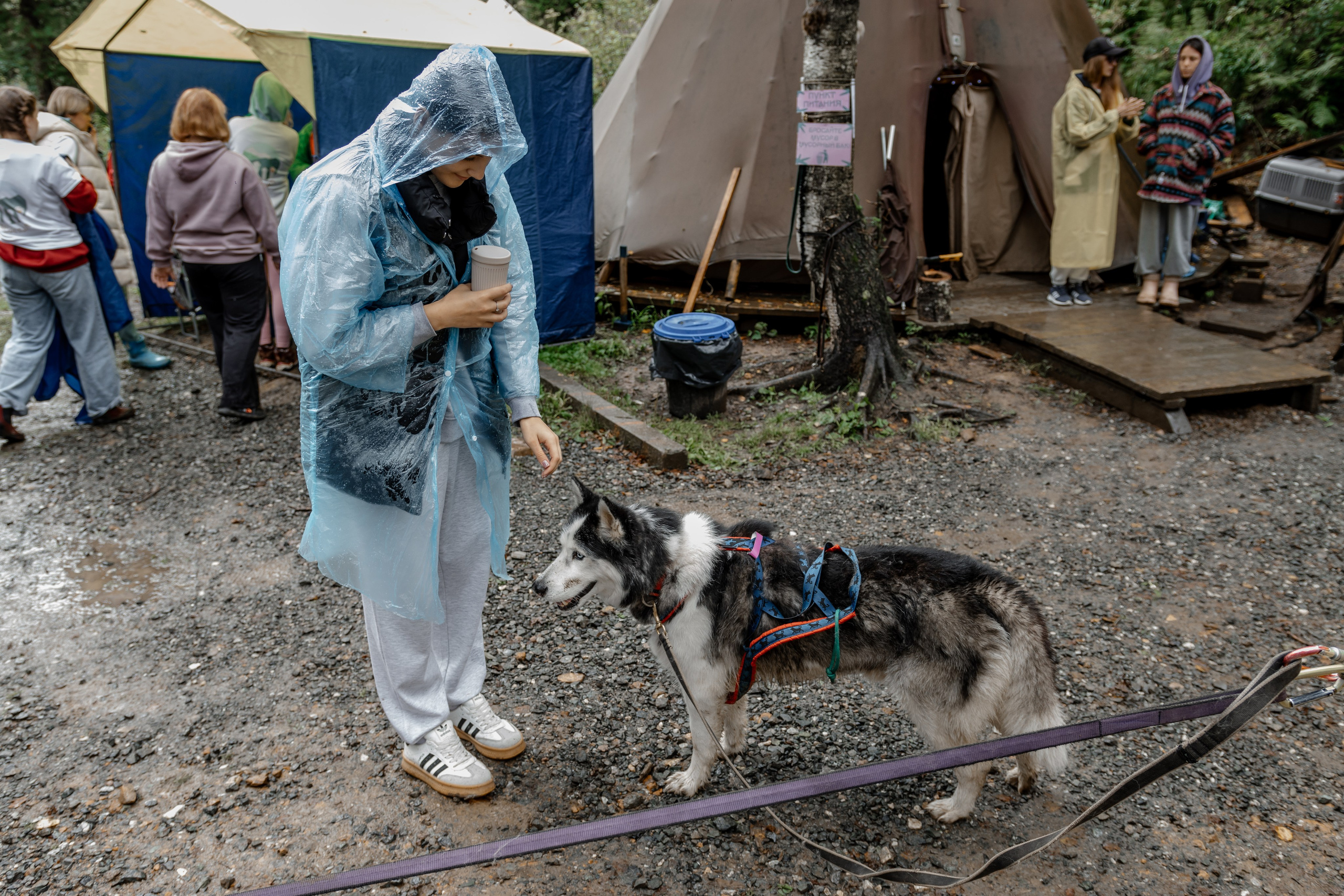 Дог-треккинг