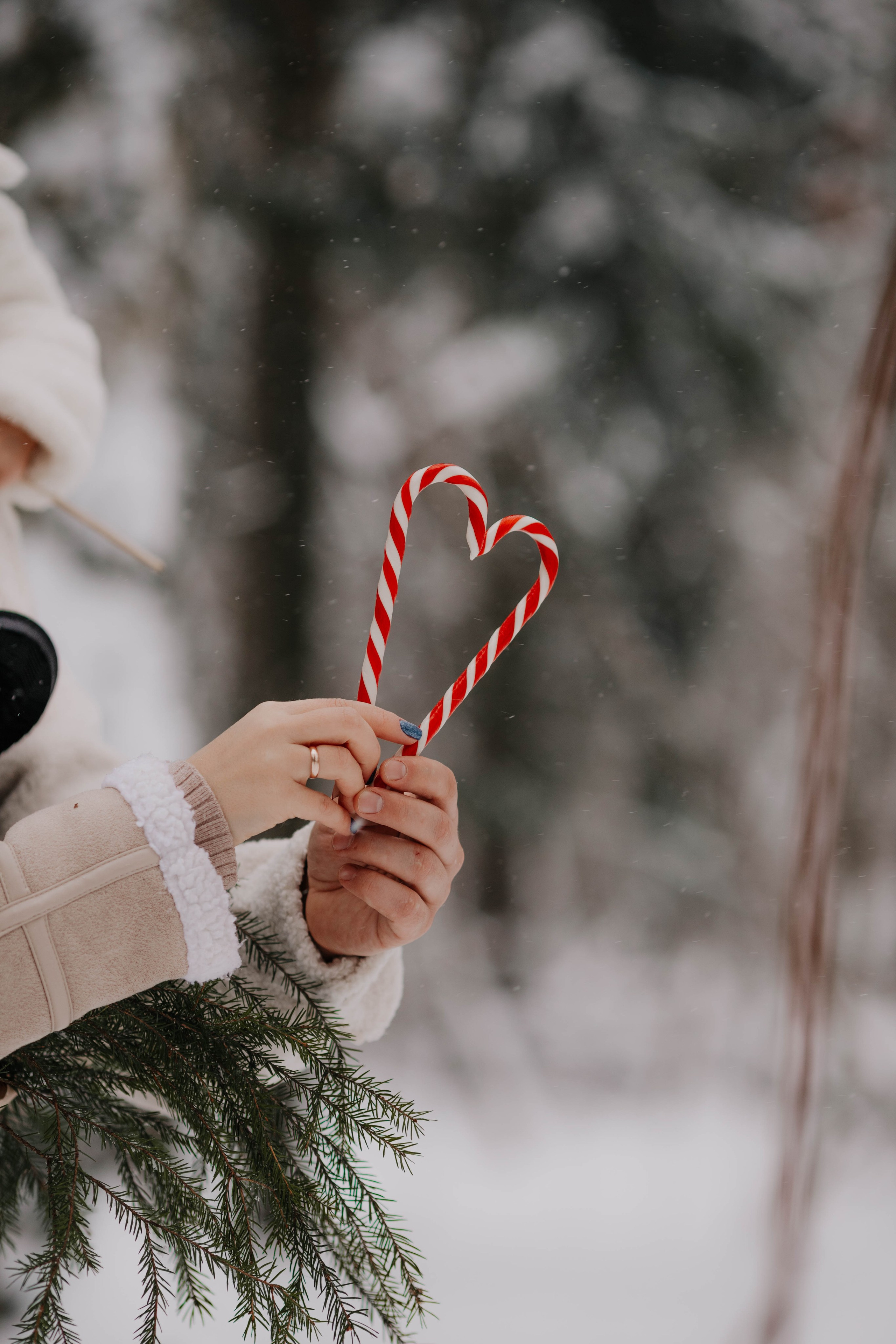 Лиля и семья Зимняя прогулка в лесу. Семейный и свадебный фотограф Видное Москва Екатерина Пятова
