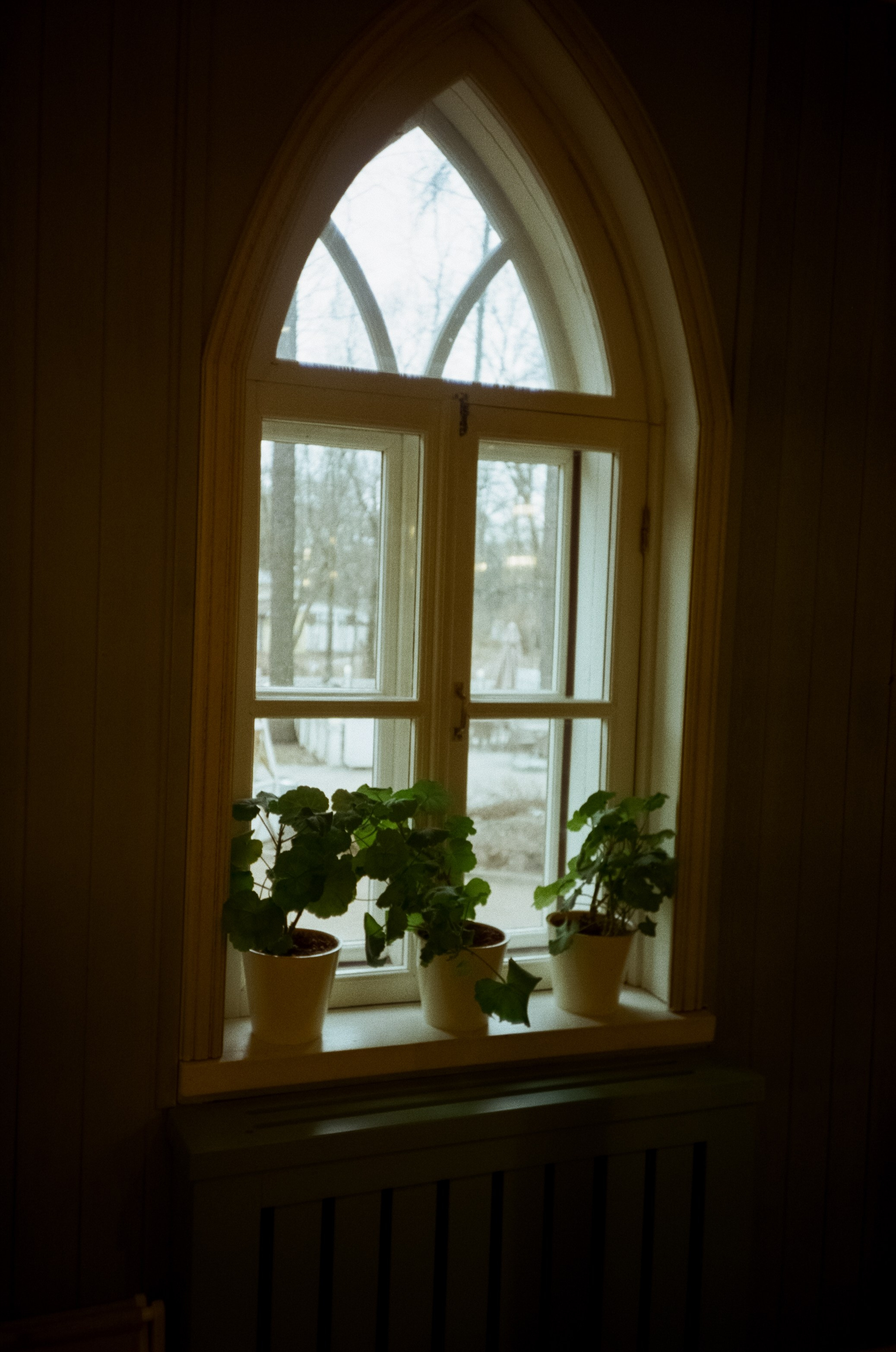 Архангельское. Пасмурный апрель. Фотограф-документалист Мария Осокина