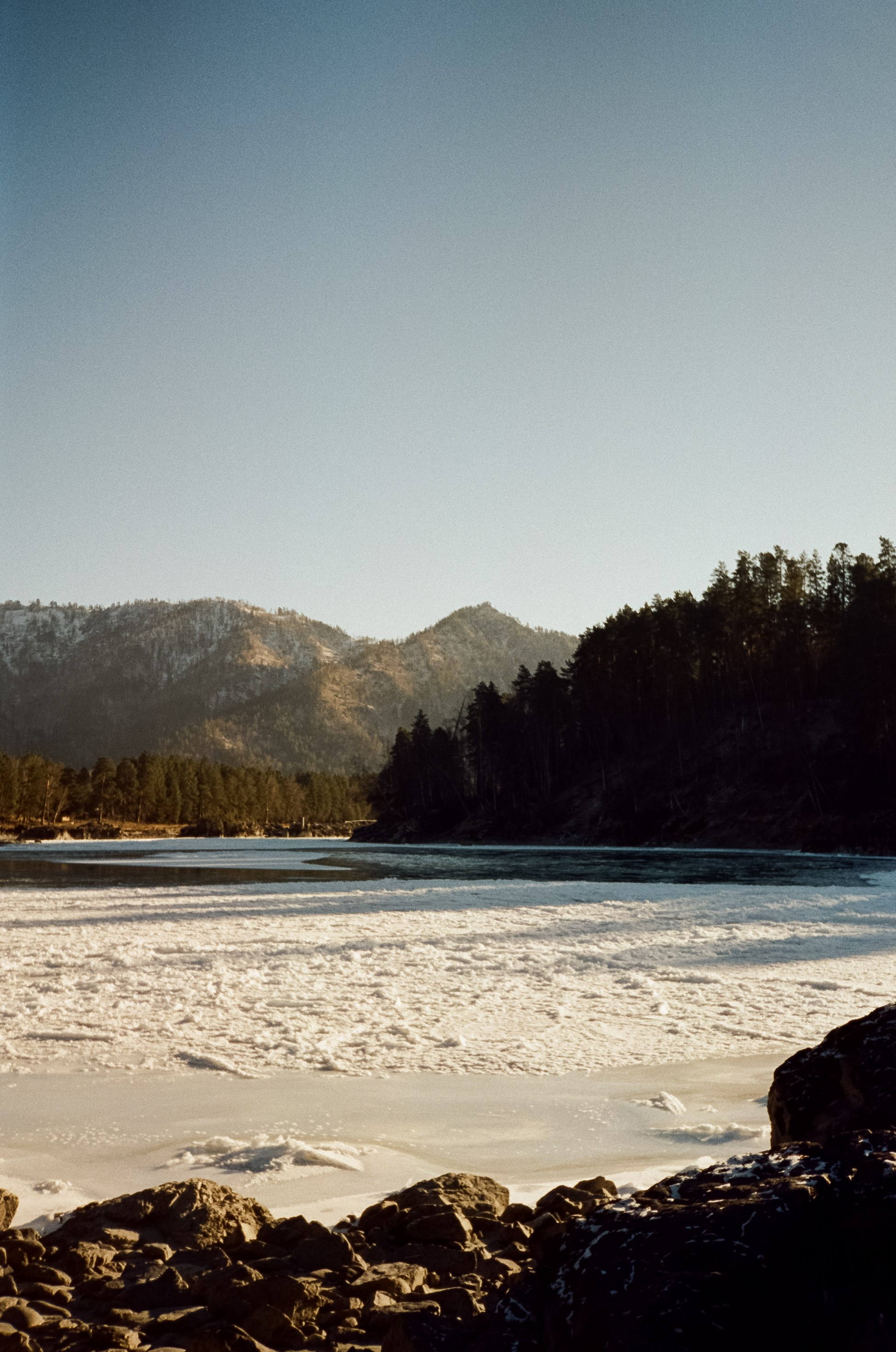Зимняя Катунь: острова, льды, скалы у базы Берель. Зеленые сосны и. Фотограф-документалист Мария Осокина