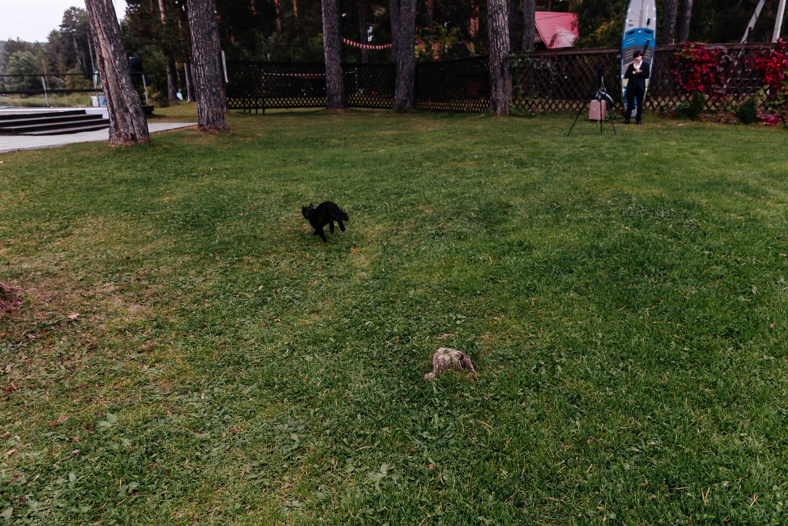 MARIA & LEV. Свадебный фотограф | Екатеринбург | Сочи | Артем Шестаков