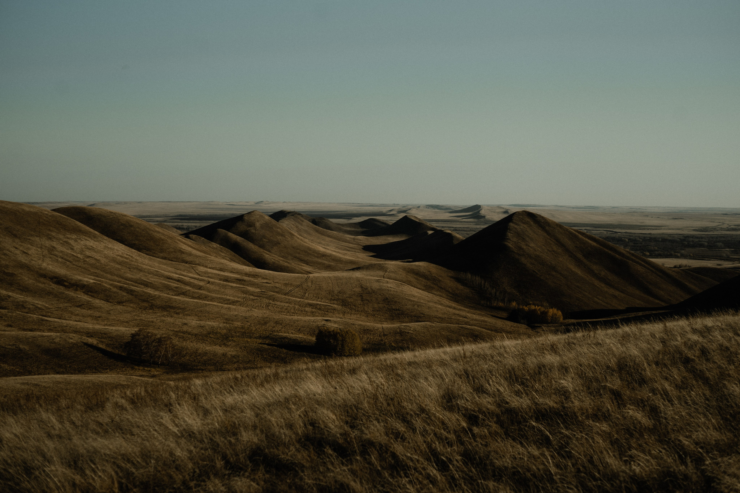 Работы. Индивидуальный фотограф в Оренбурге Кристина Студеникина