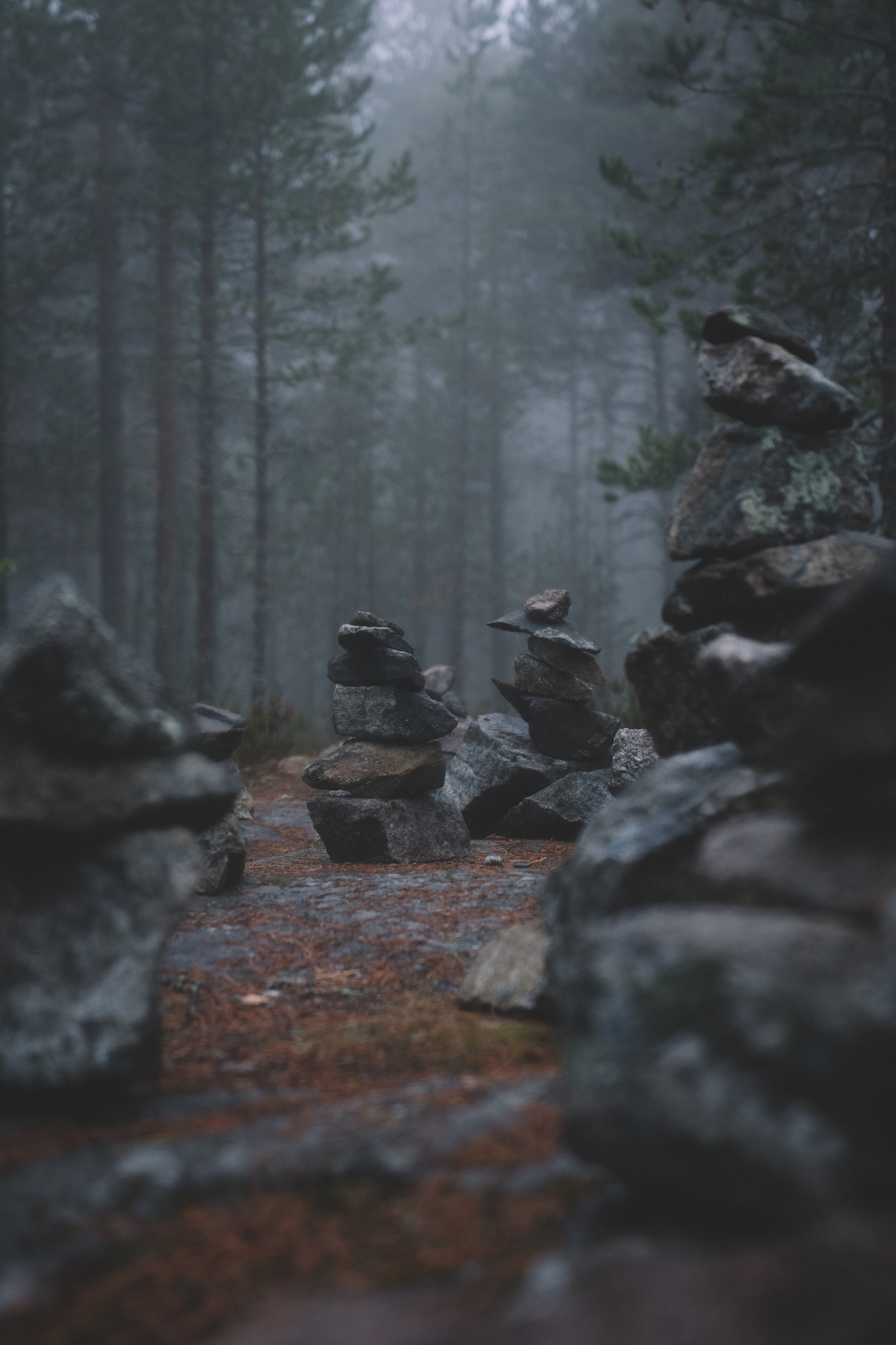 Фотосессия для музыкантов в СПб. Профессиональный фотограф в Санкт-Петербурге Александр Волосенцев