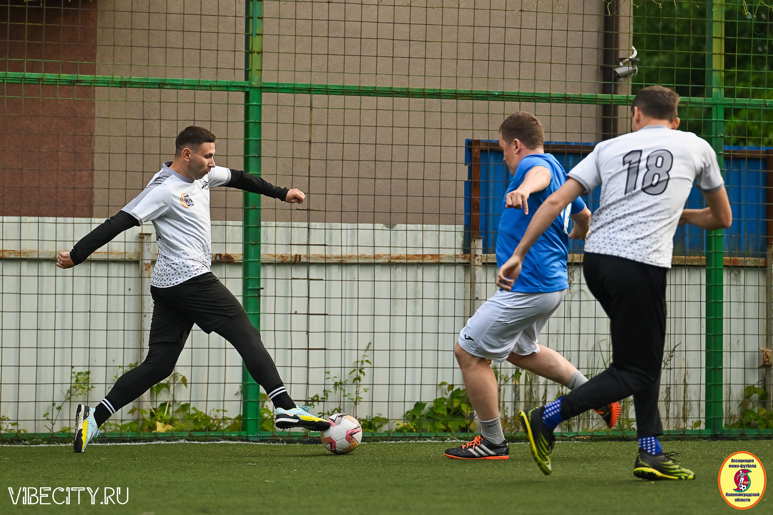 ИГРЫ ПЛЕЙ-ОФФ ПЕРВОГО ДИВИЗИОНА МИНИ-ФУТБОЛЬНОЙ ЛИГИ. VIBECITY.RU Вайб Сити Ру Фоторепортажи Фотоотчеты Калининград