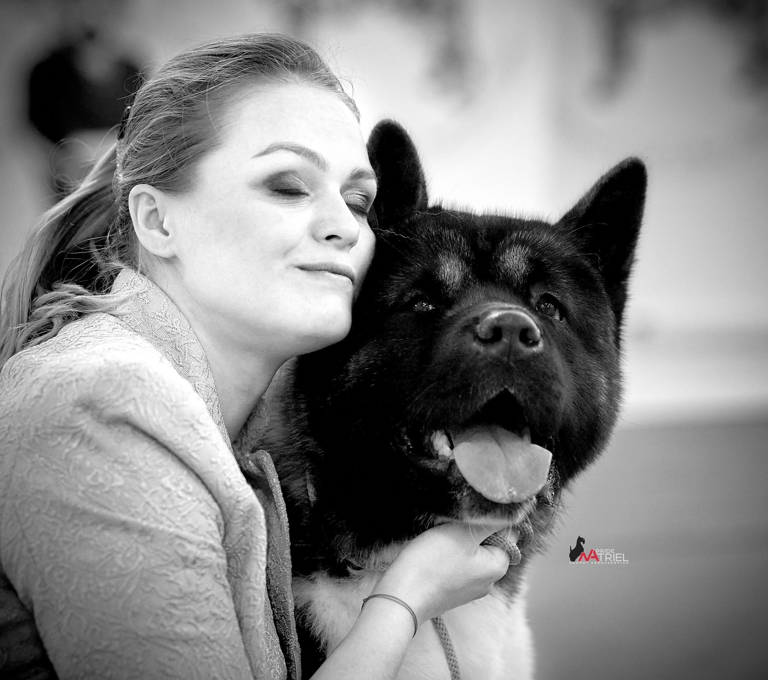 Собаки и Люди — галерея NATRIEL