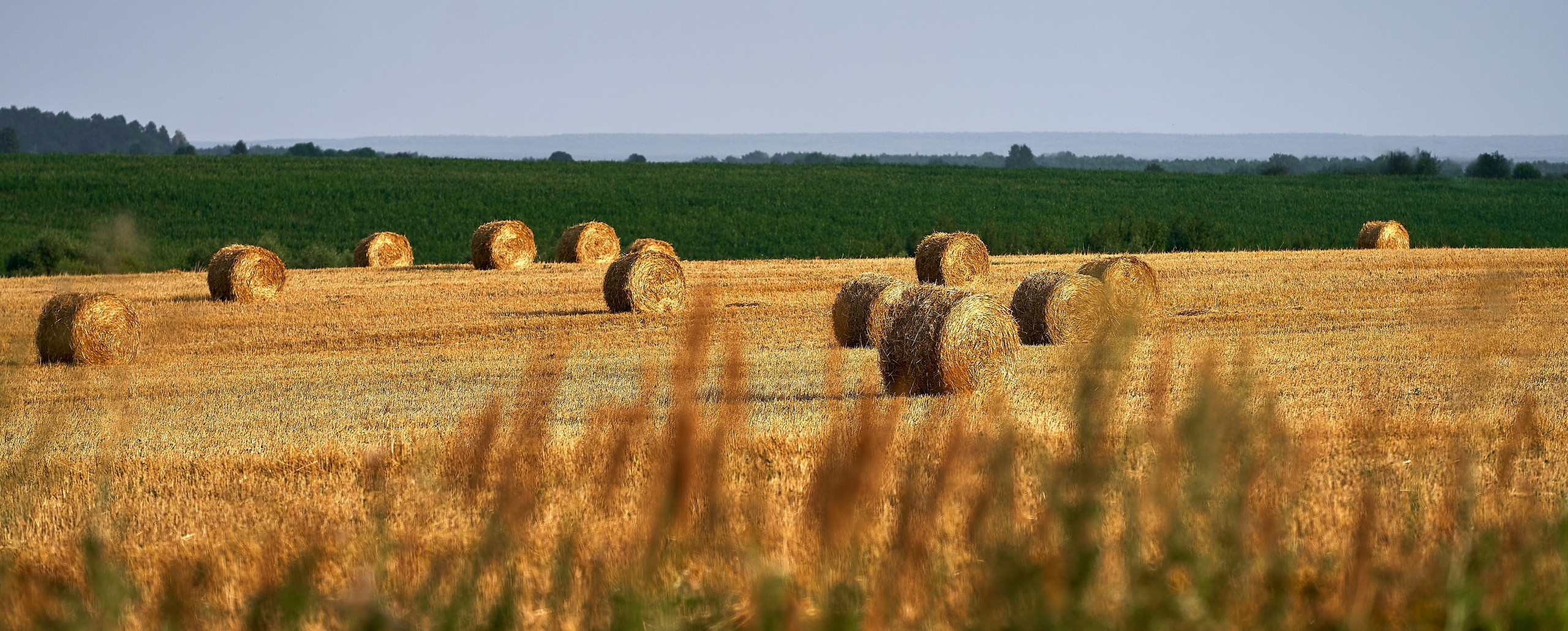 Пейзаж — галерея NATRIEL