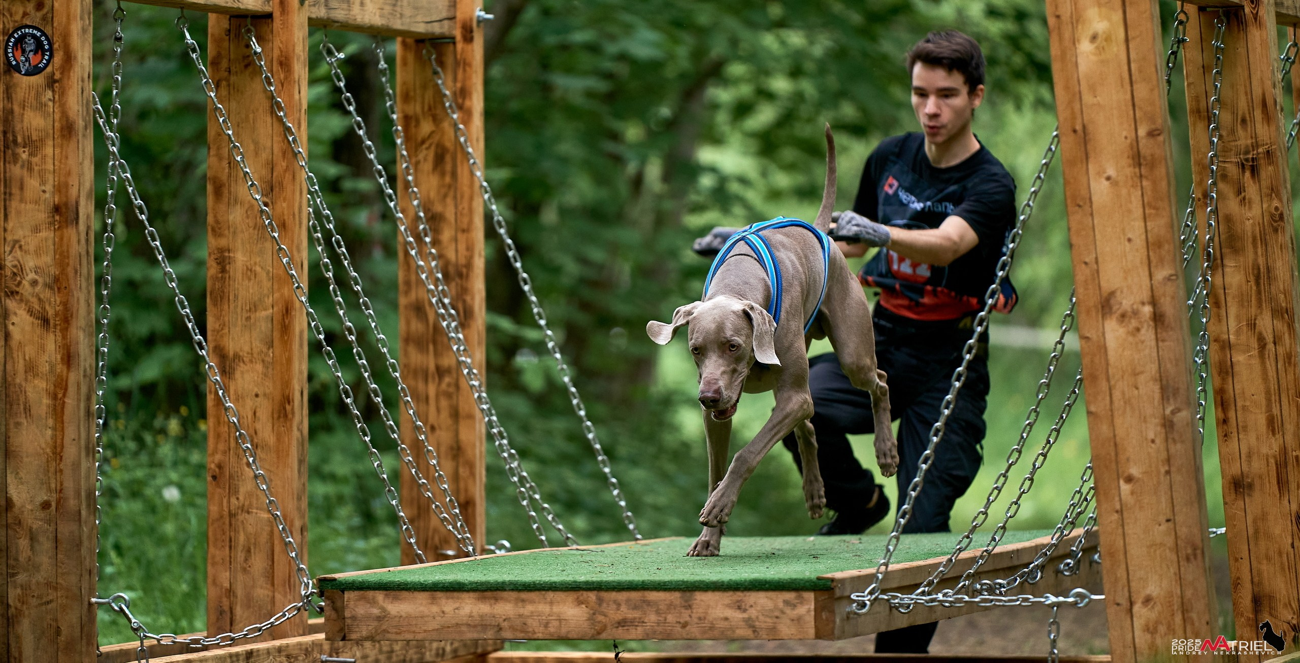Russian Extreme Dog Trail — 2025