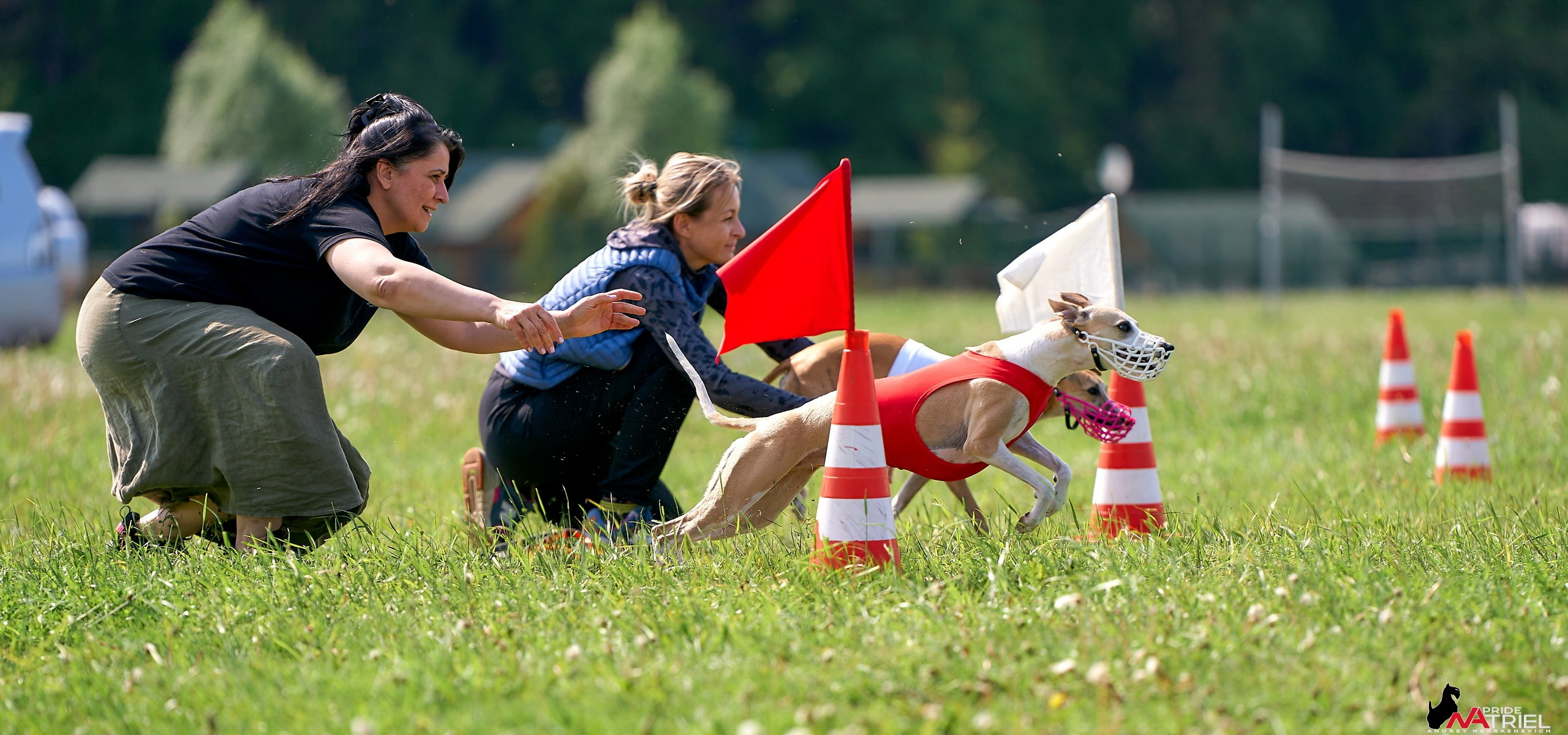 Съемка курсинг — галерея NATRIEL