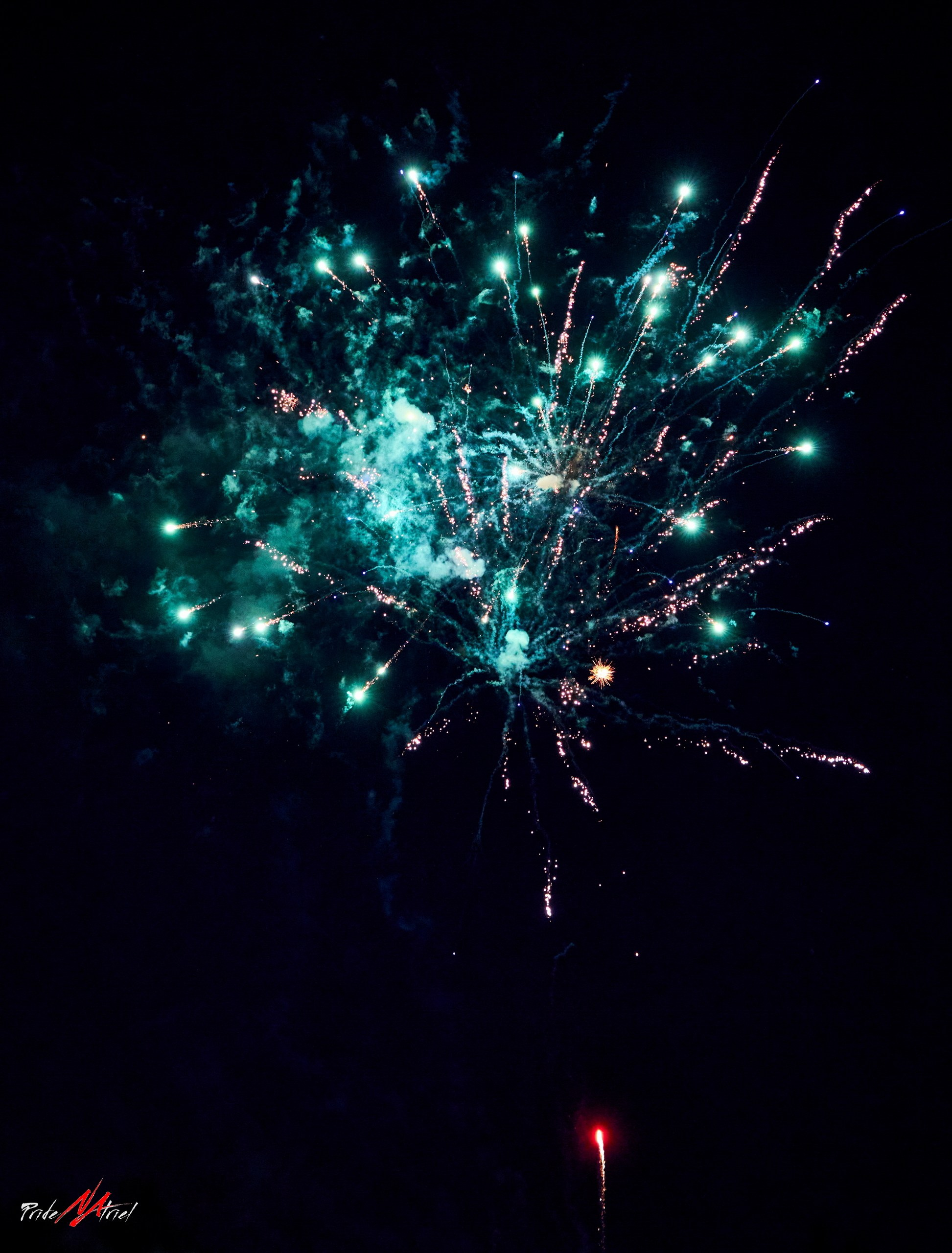 Огонь, Ветер, Вода, Земля — галерея NATRIEL