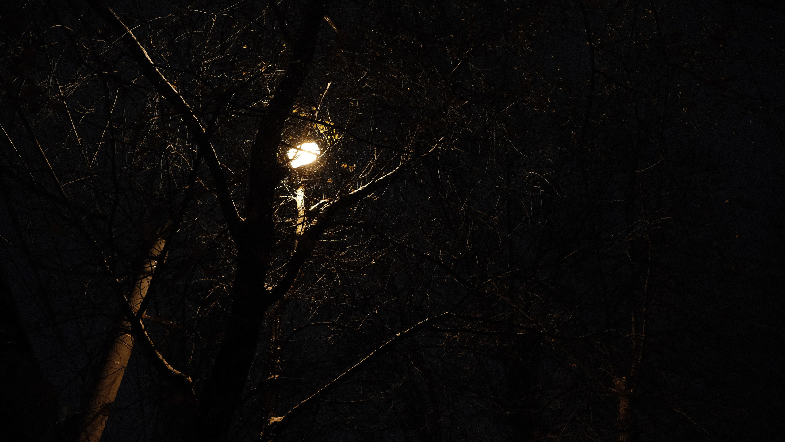 Казань. LIYALEE PHOTO