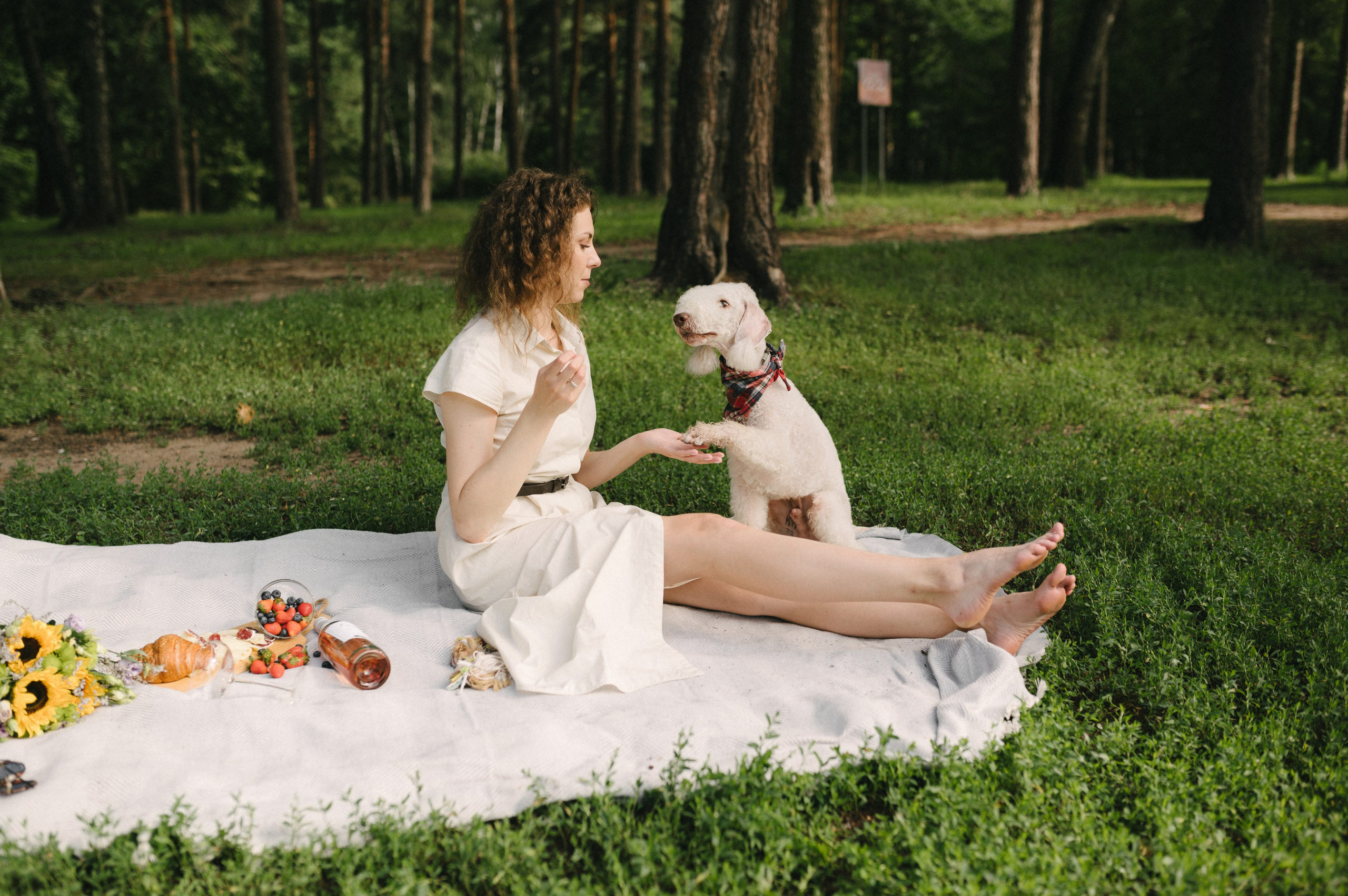 Лиза и Каспер. Фотограф анималист в Москве Ольга Агушева