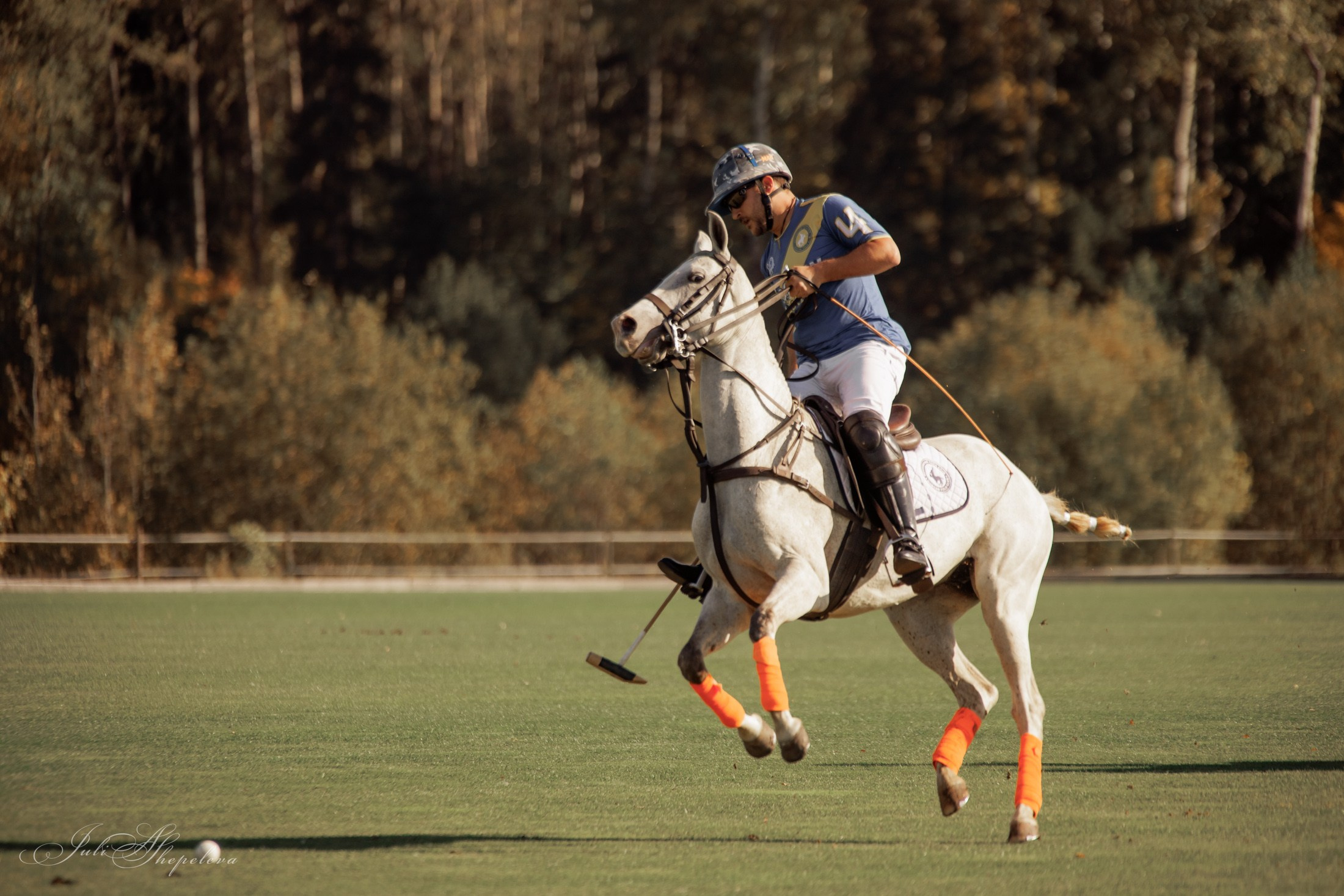Осенний кубок по конному поло. Детская Конная фотография в Москве Юлия Шепелева