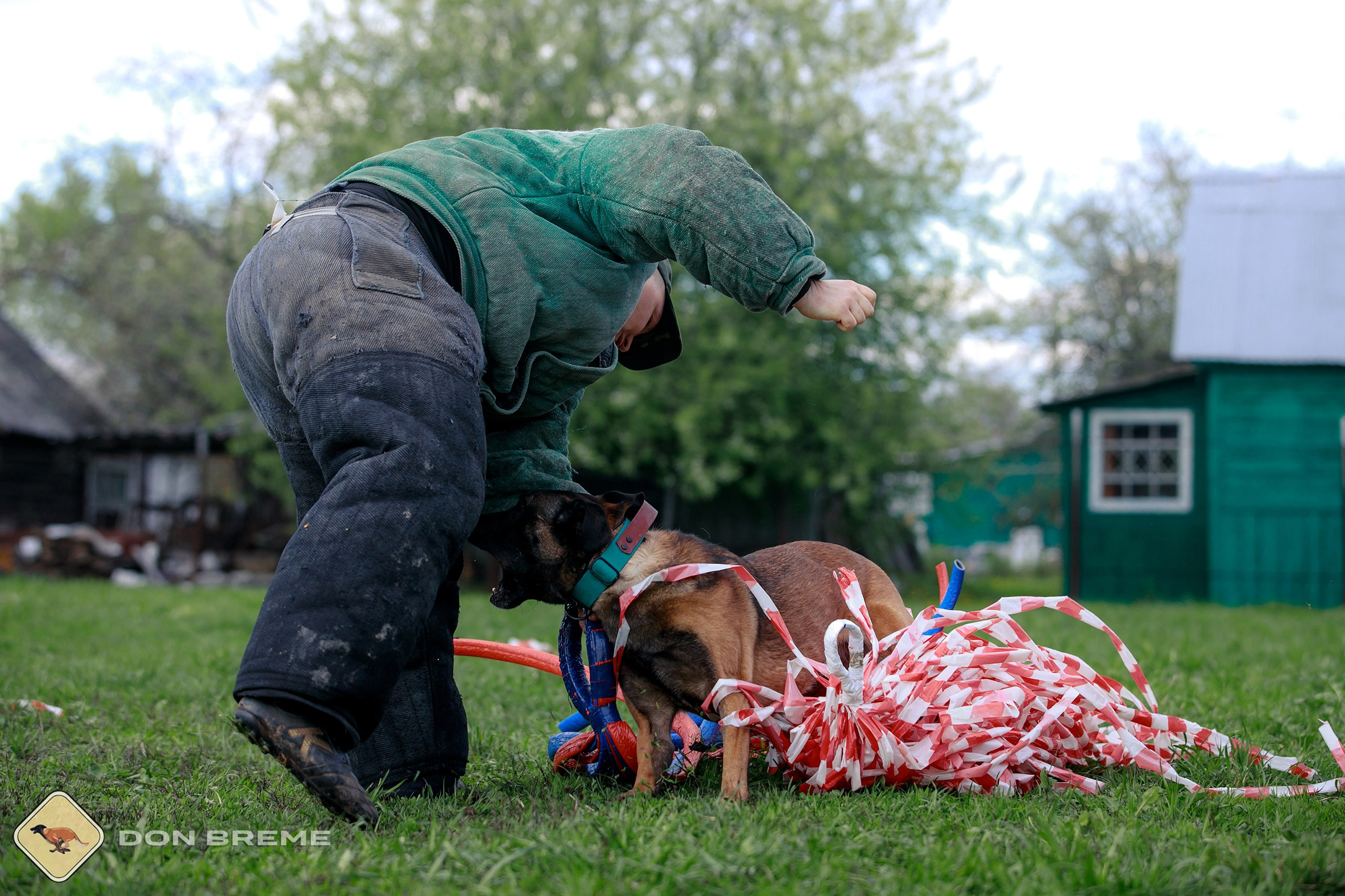 Семинар для фигурантов, день 2. Фотограф-анималист Mary Mart — Москва, Питер