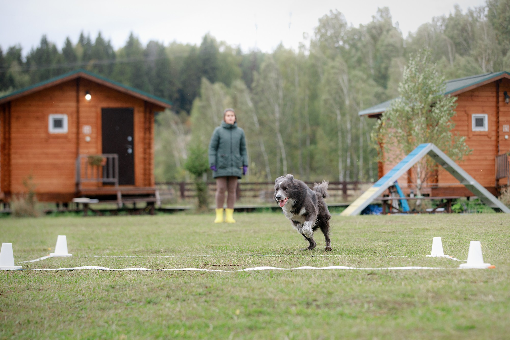 Лагерь по ОБД с Инной Баженовой. Фотограф-анималист Mary Mart — Москва, Питер