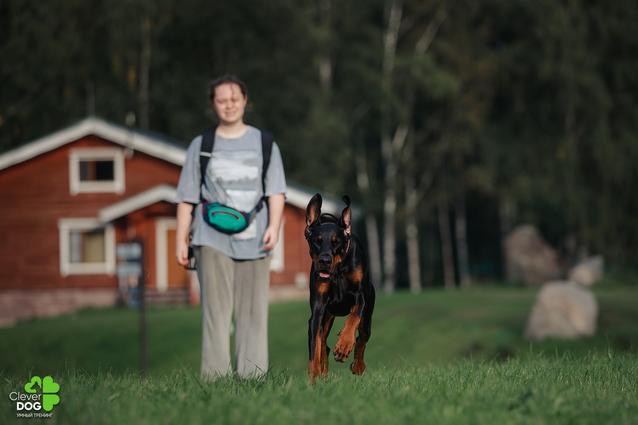 Кинологический лагерь CleverDog, 2024. Фотограф-анималист Mary Mart — Москва, Питер