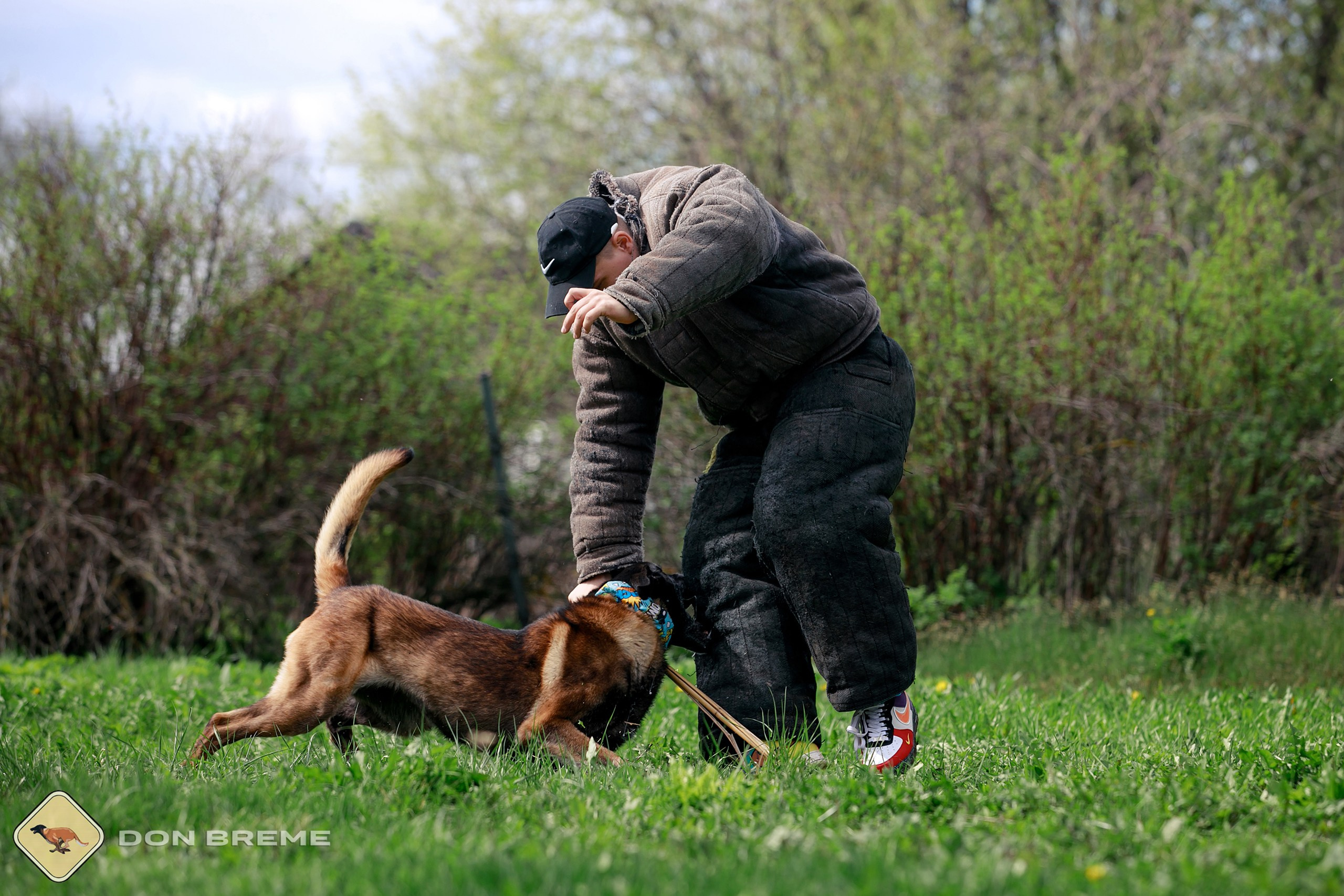 Семинар для фигурантов, день 2. Фотограф-анималист Mary Mart — Москва, Питер
