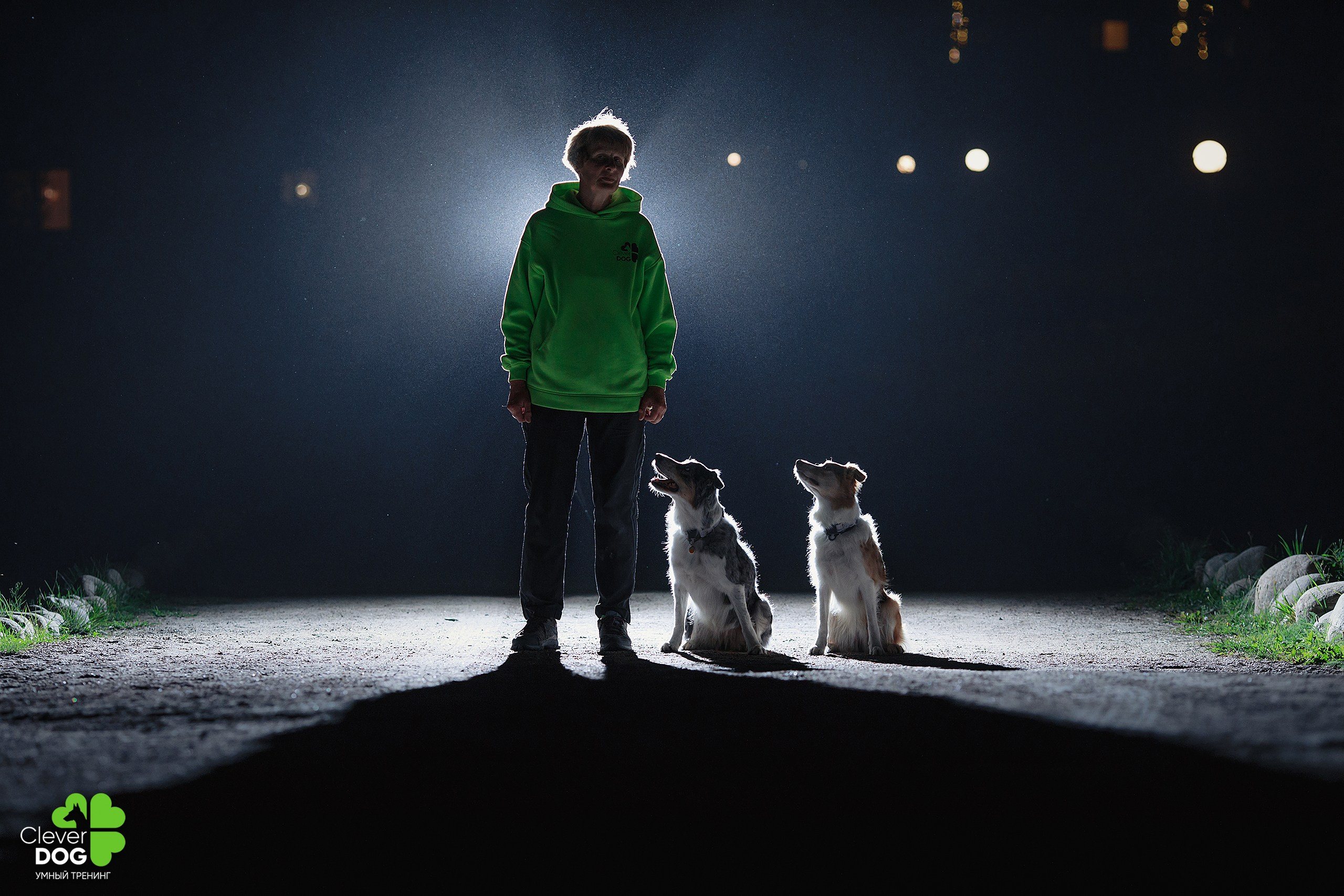 Кинологический лагерь CleverDog, 2024. Фотограф-анималист Mary Mart — Москва, Питер