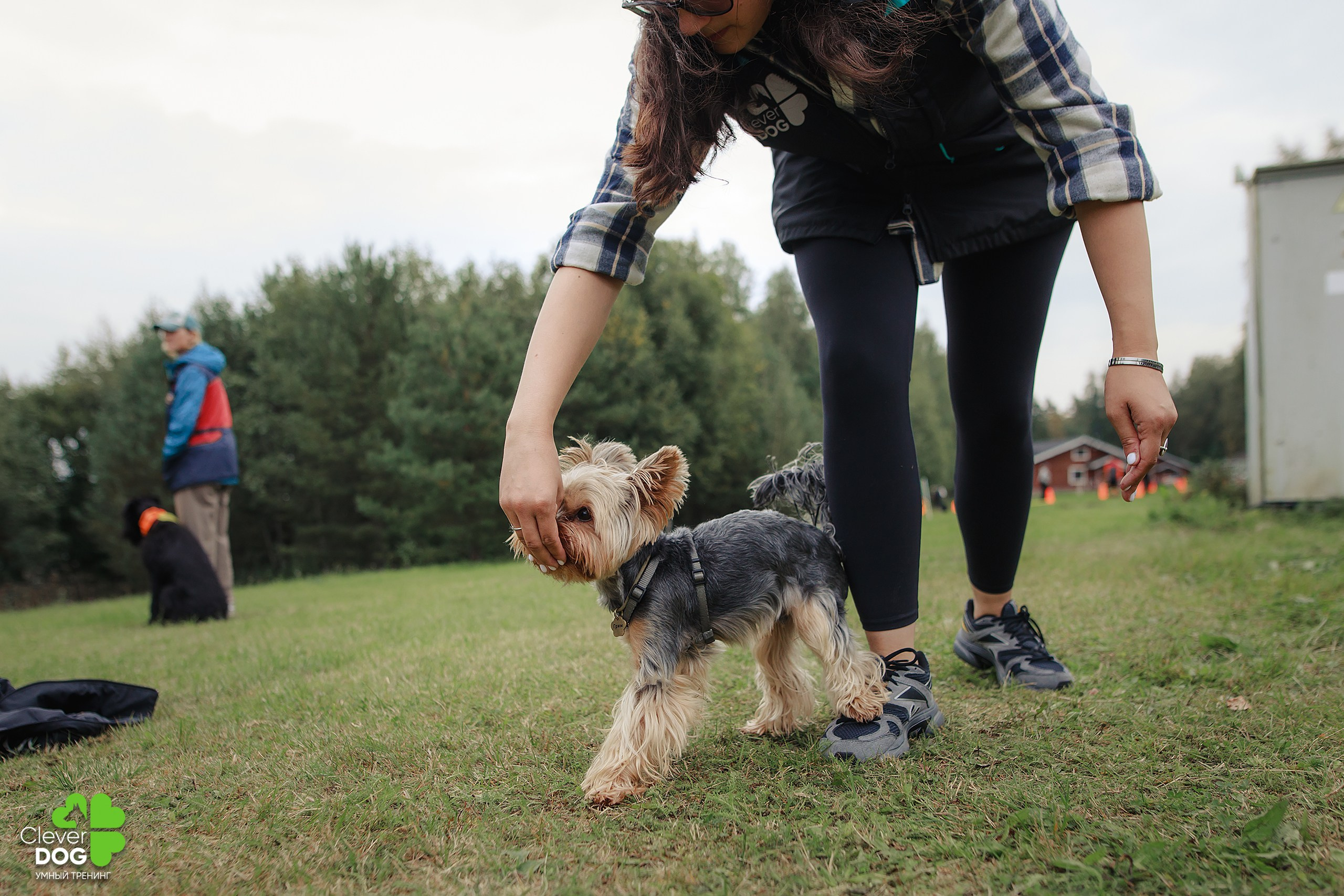 Кинологический лагерь CleverDog, 2024. Фотограф-анималист Mary Mart — Москва, Питер