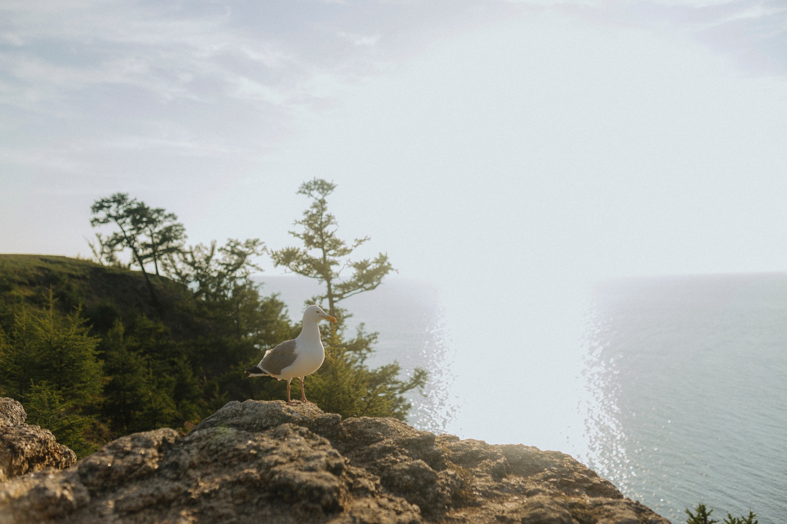 Закат над Ольхоном. Фотограф Ольхон/ Индия, Регина