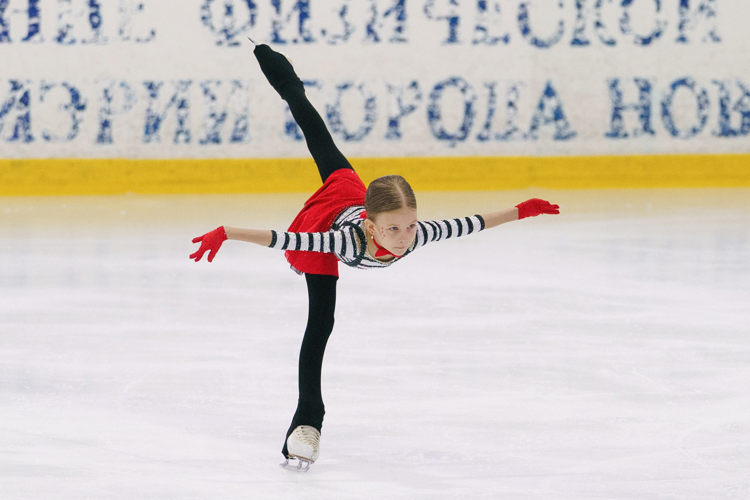 Соревнования ФКК «Майские звезды». Фотомастерская Воробьевых