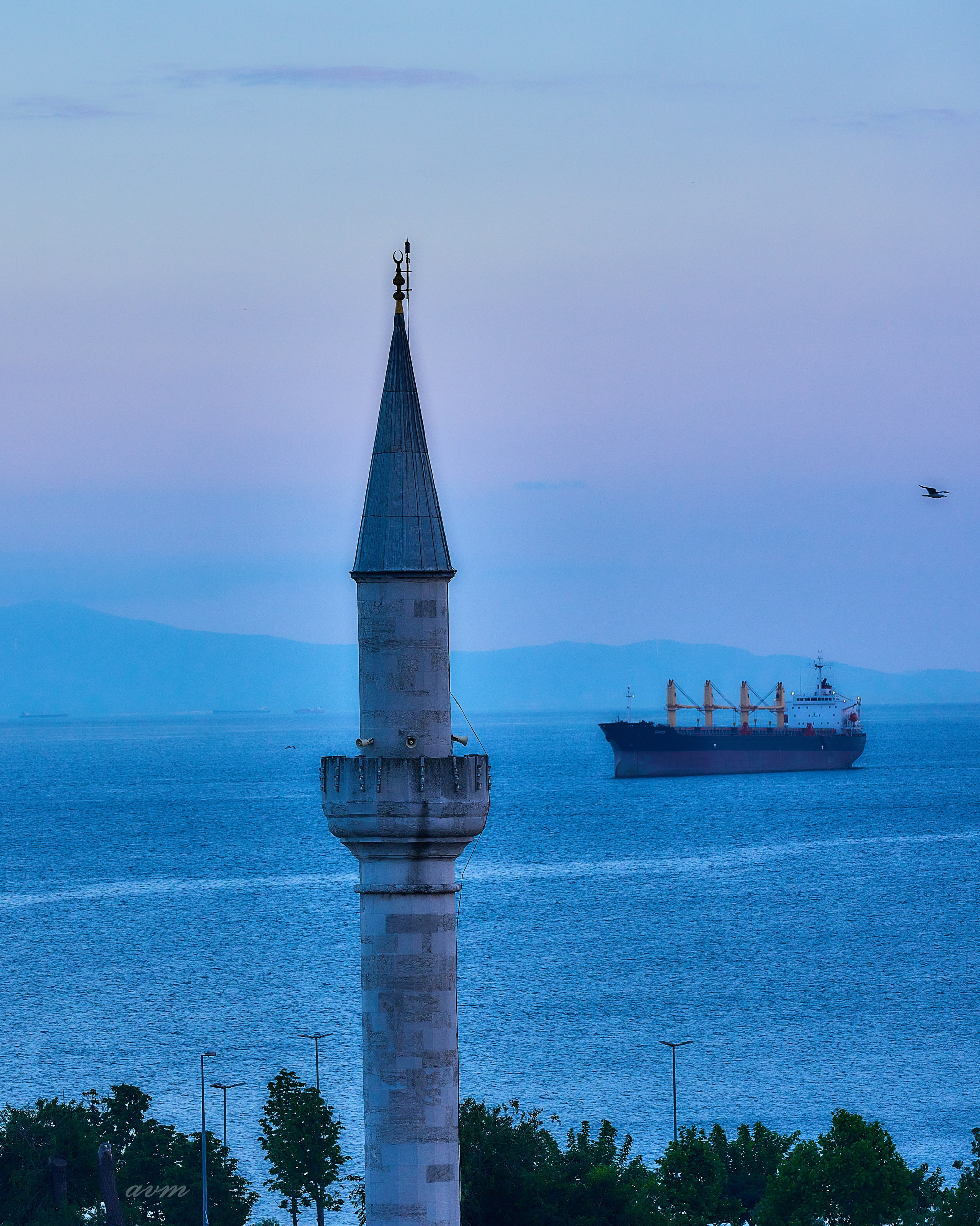 Стамбул 2023. Фотограф Михеев Андрей