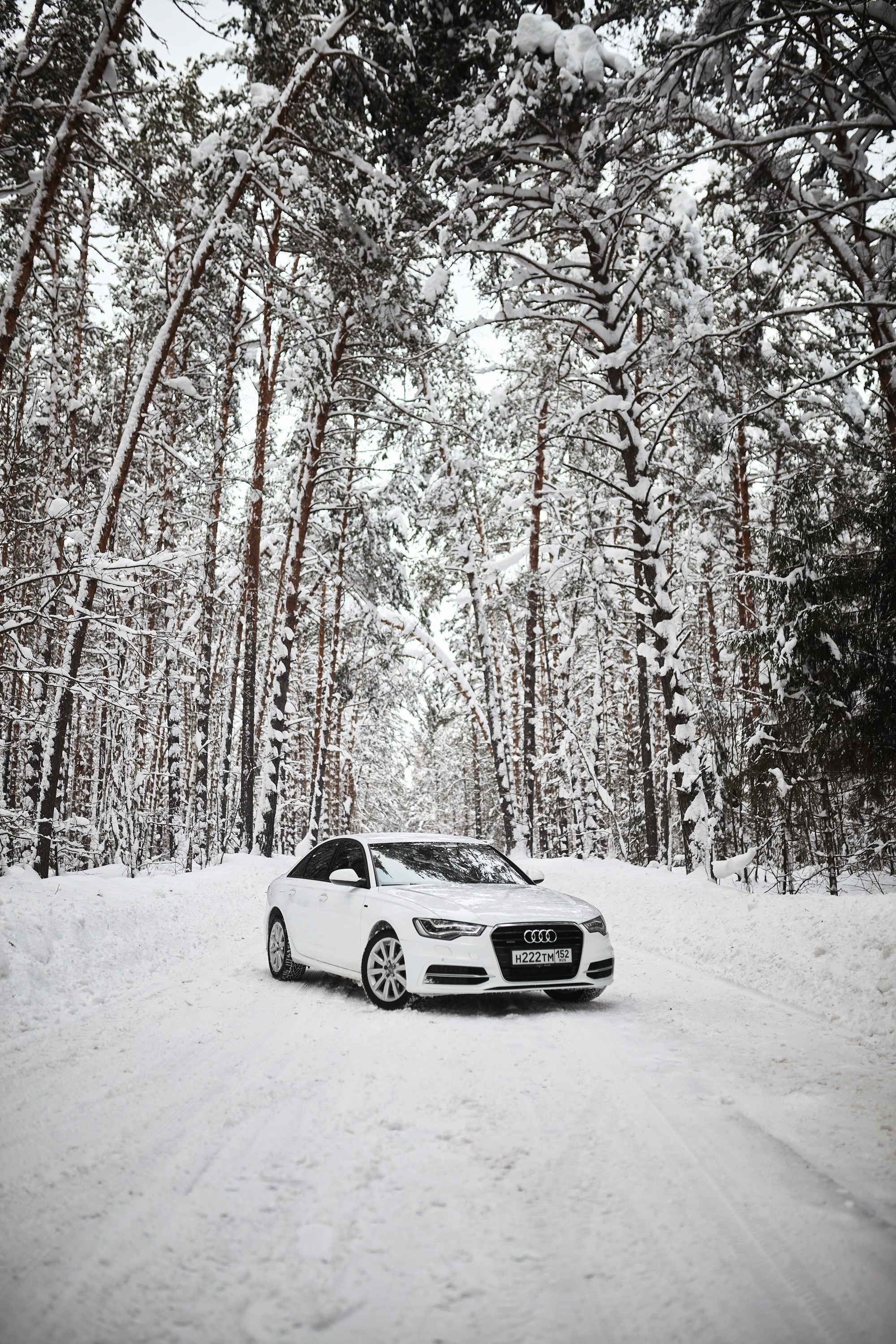 Audi A6. DKARPOCHEVA PHOTOGRAPHY