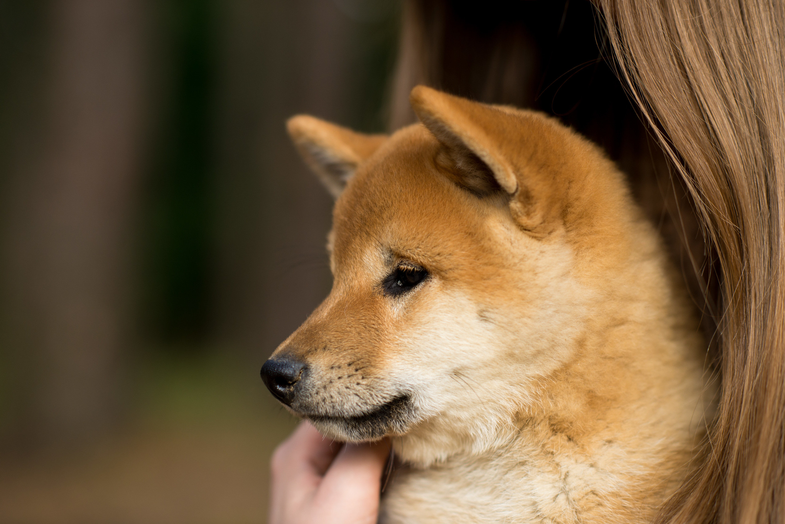 Осенние фотосессии. Фотограф в Минске