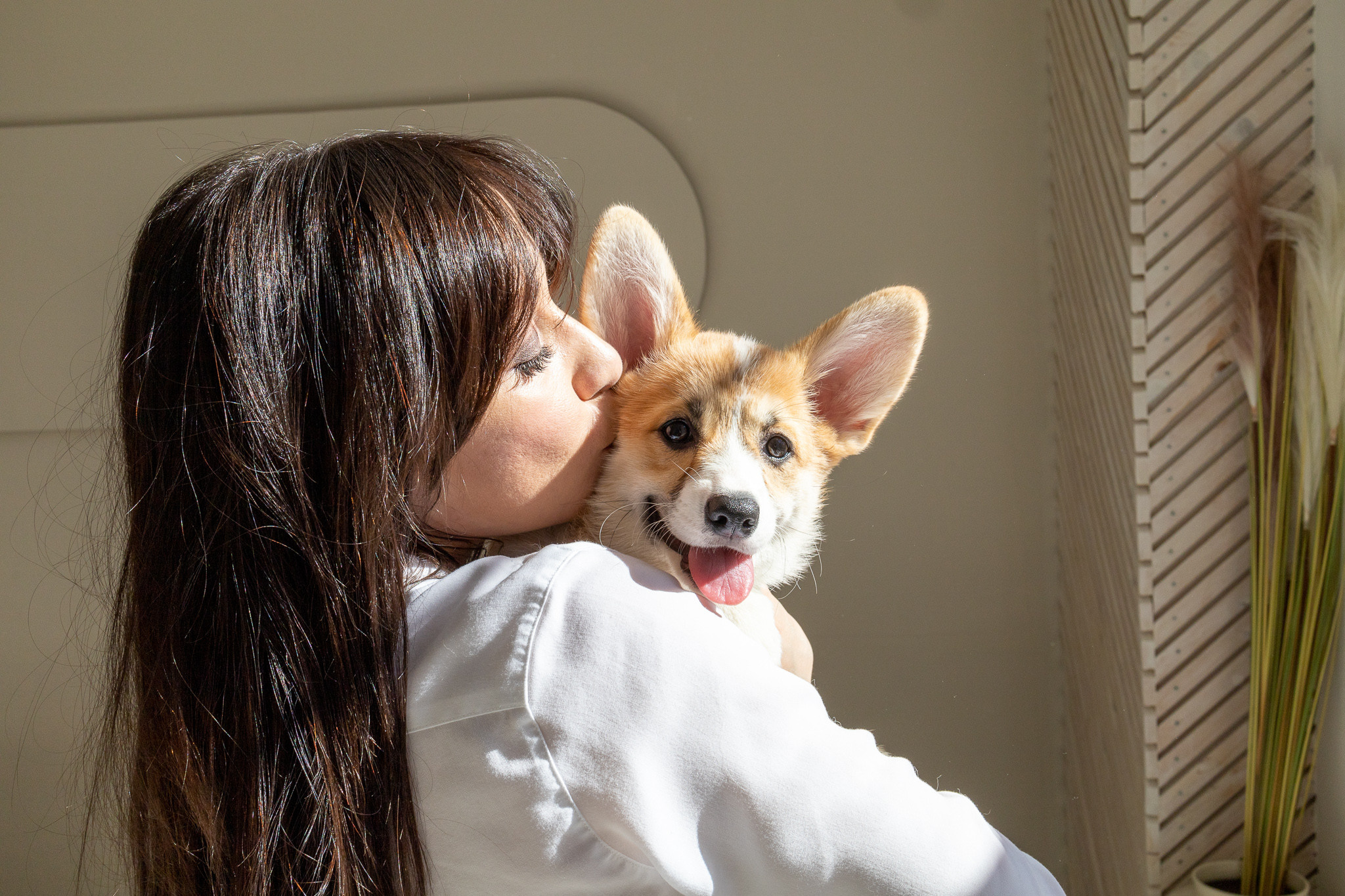 Марина, Саша и две супер корги. Ваш фотограф в Санкт-Петербурге