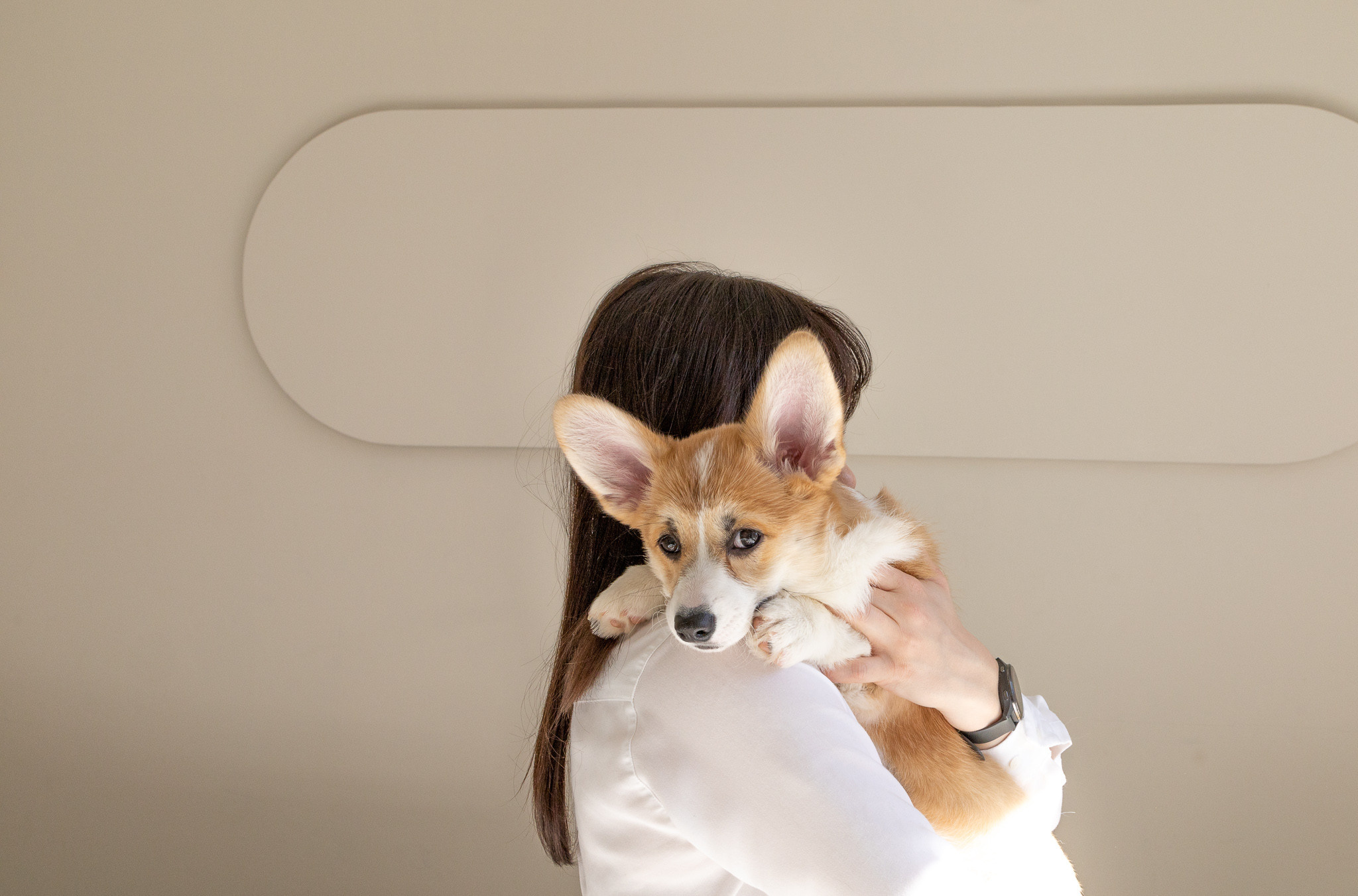 Марина, Саша и две супер корги. Ваш фотограф в Санкт-Петербурге